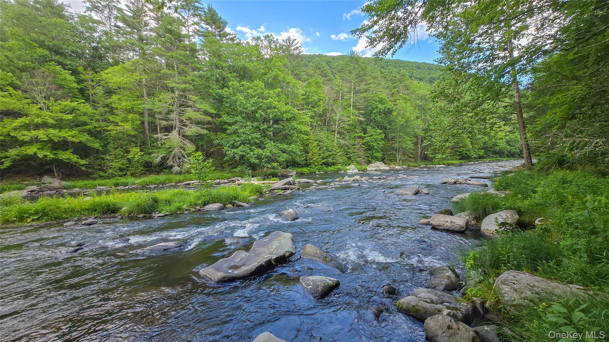 Single Family Hatchery Road  Sullivan County, NY 12777, MLS-1022570-30