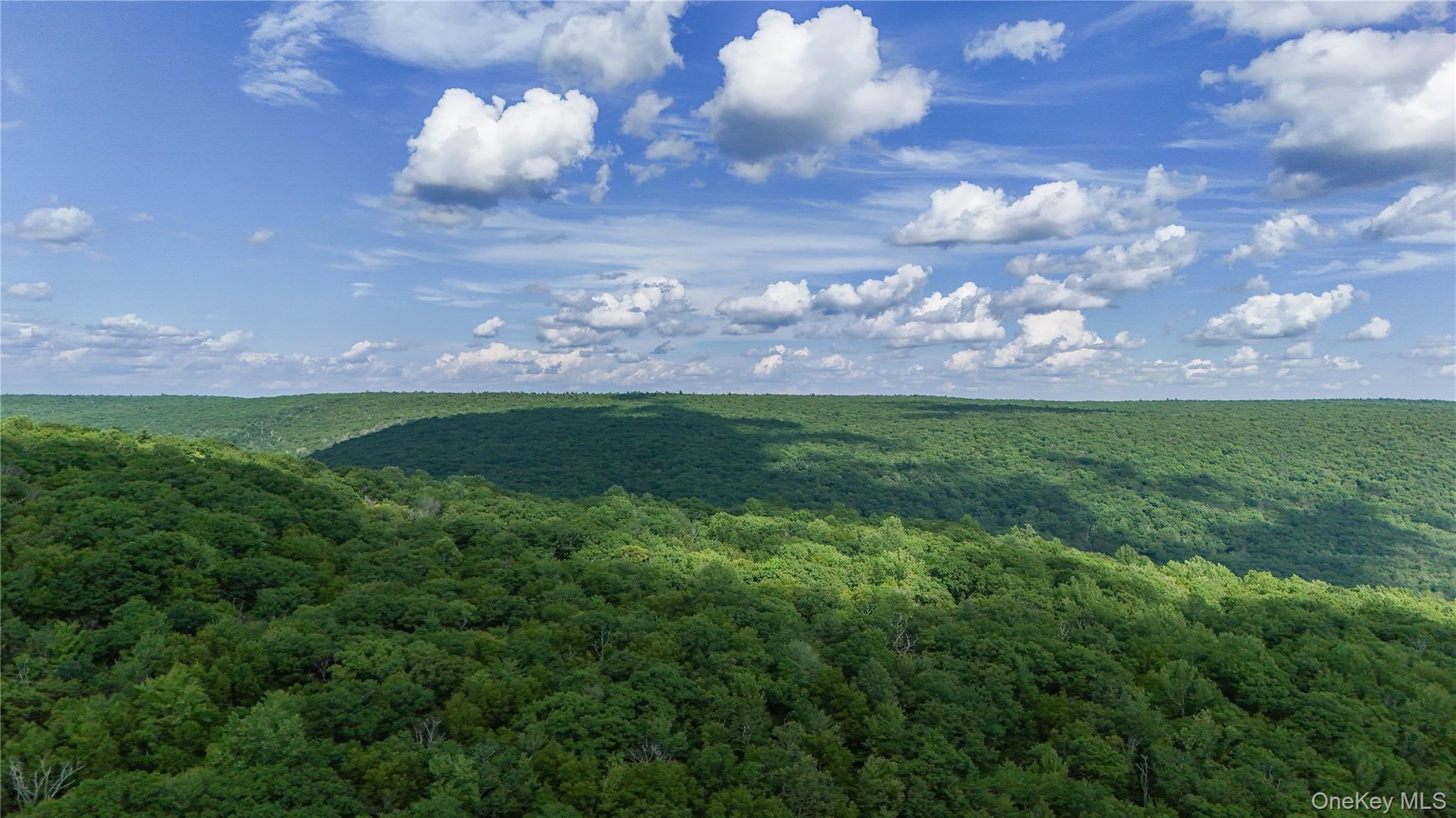 Single Family Hatchery Road  Sullivan County, NY 12777, MLS-1022570-31