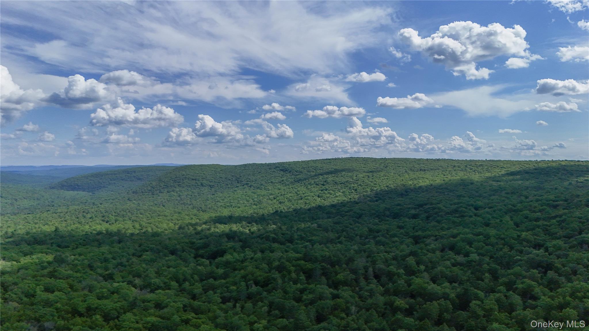 Single Family Hatchery Road  Sullivan County, NY 12777, MLS-1022570-32