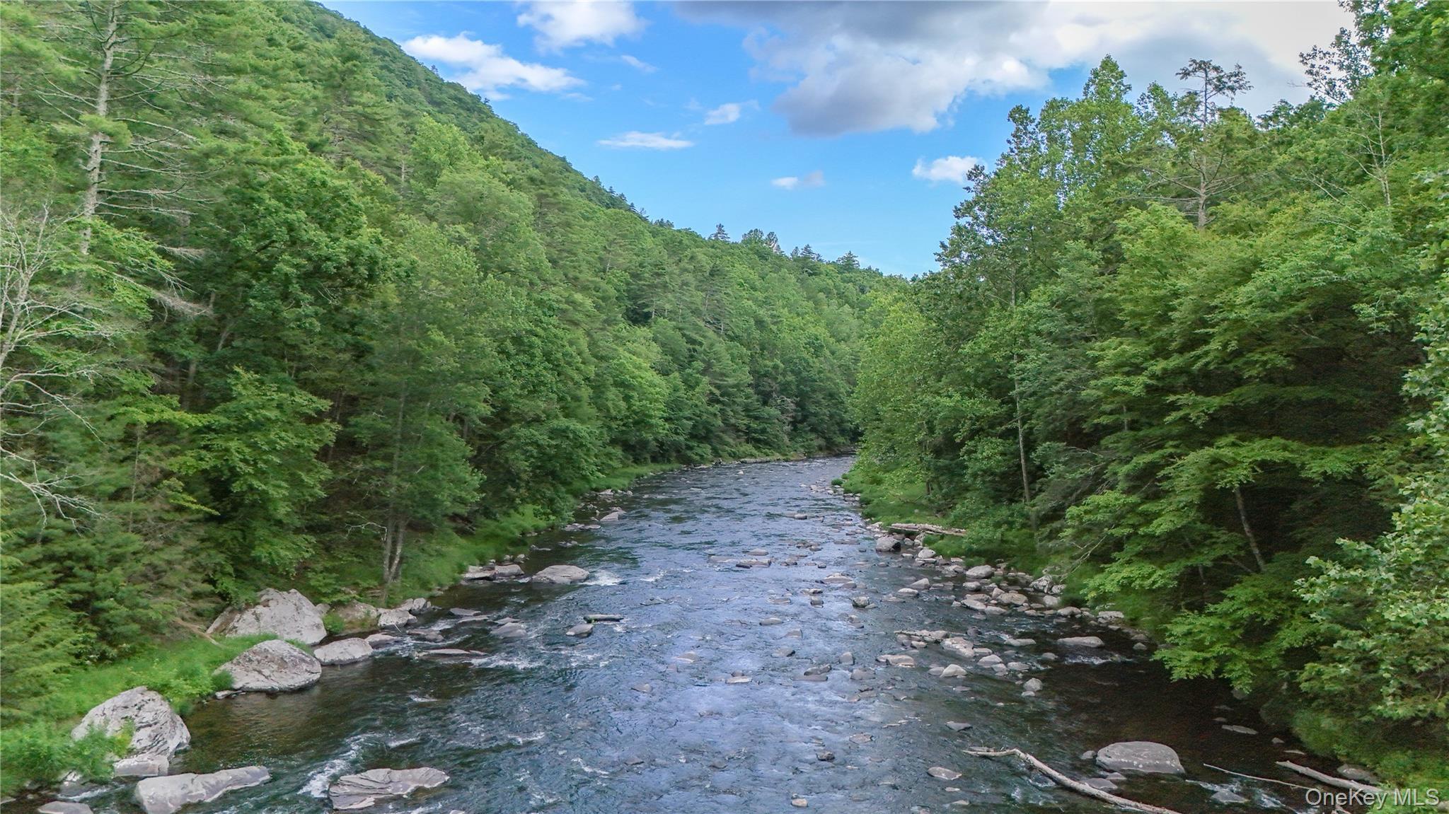 Single Family Hatchery Road  Sullivan County, NY 12777, MLS-1022570-33