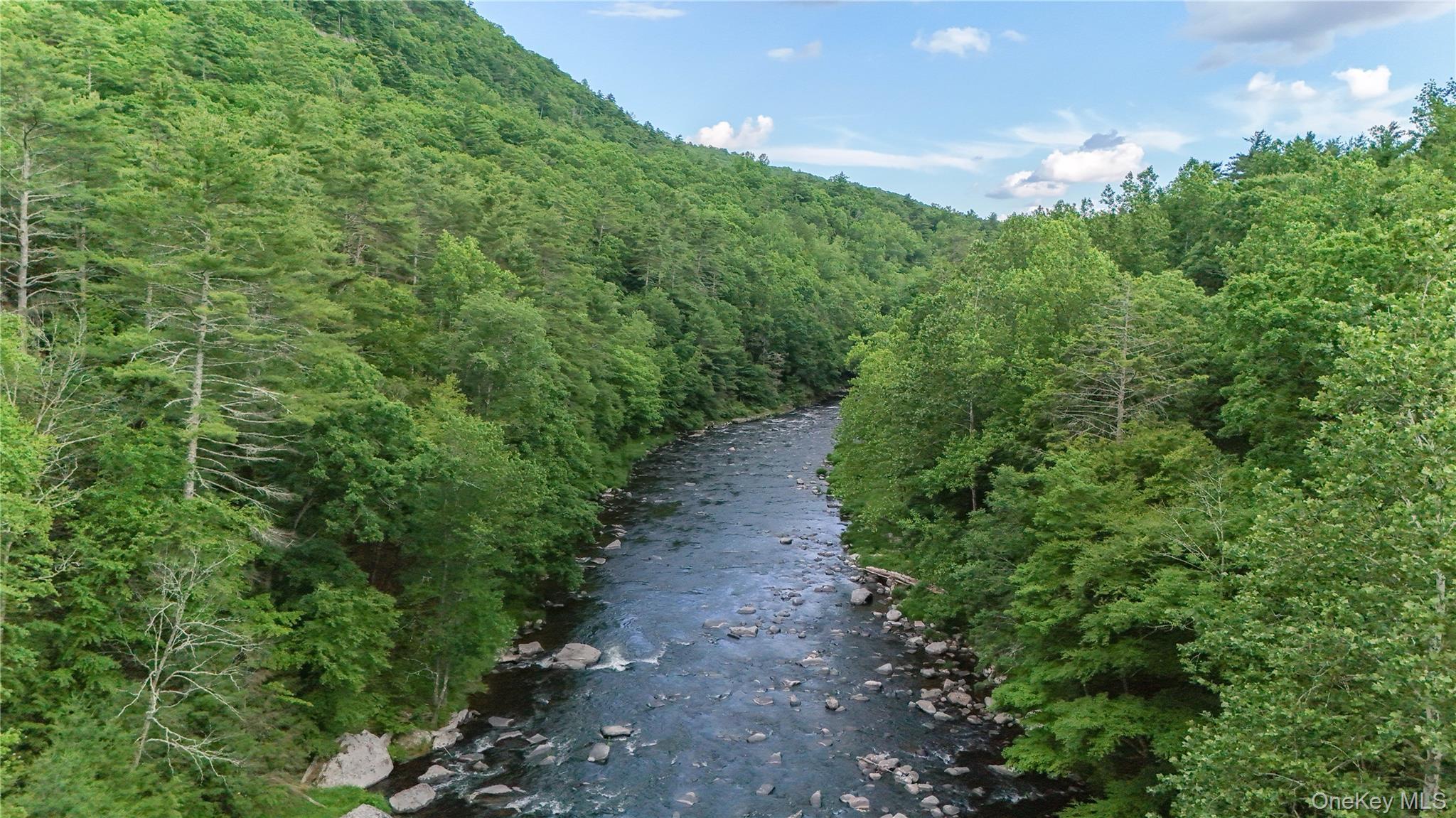 Single Family Hatchery Road  Sullivan County, NY 12777, MLS-1022570-34