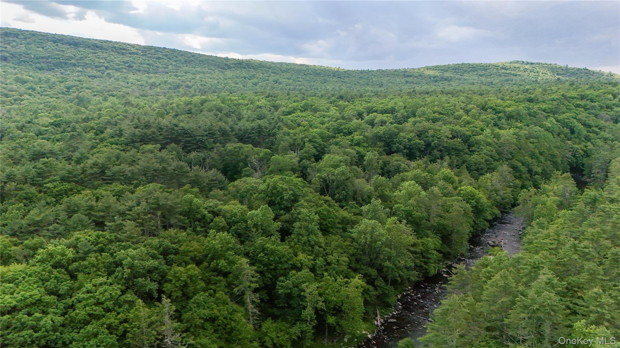 Single Family Hatchery Road  Sullivan County, NY 12777, MLS-1022570-35
