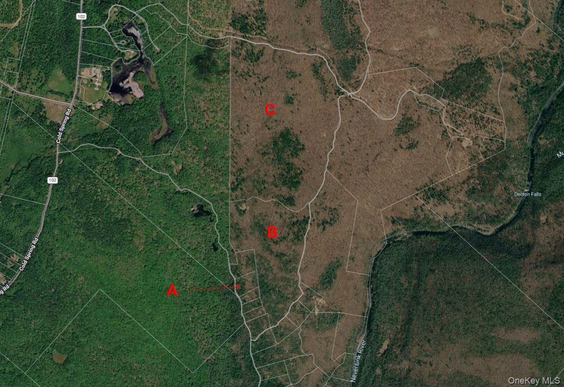 Single Family Hatchery Road  Sullivan County, NY 12777, MLS-1022570-36