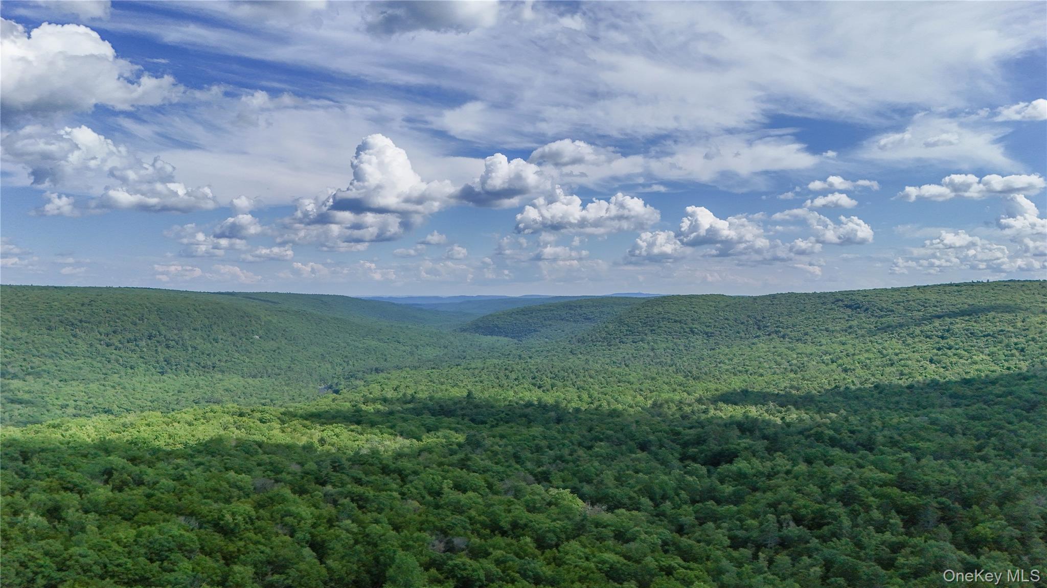 Single Family Hatchery Road  Sullivan County, NY 12777, MLS-1022570-7