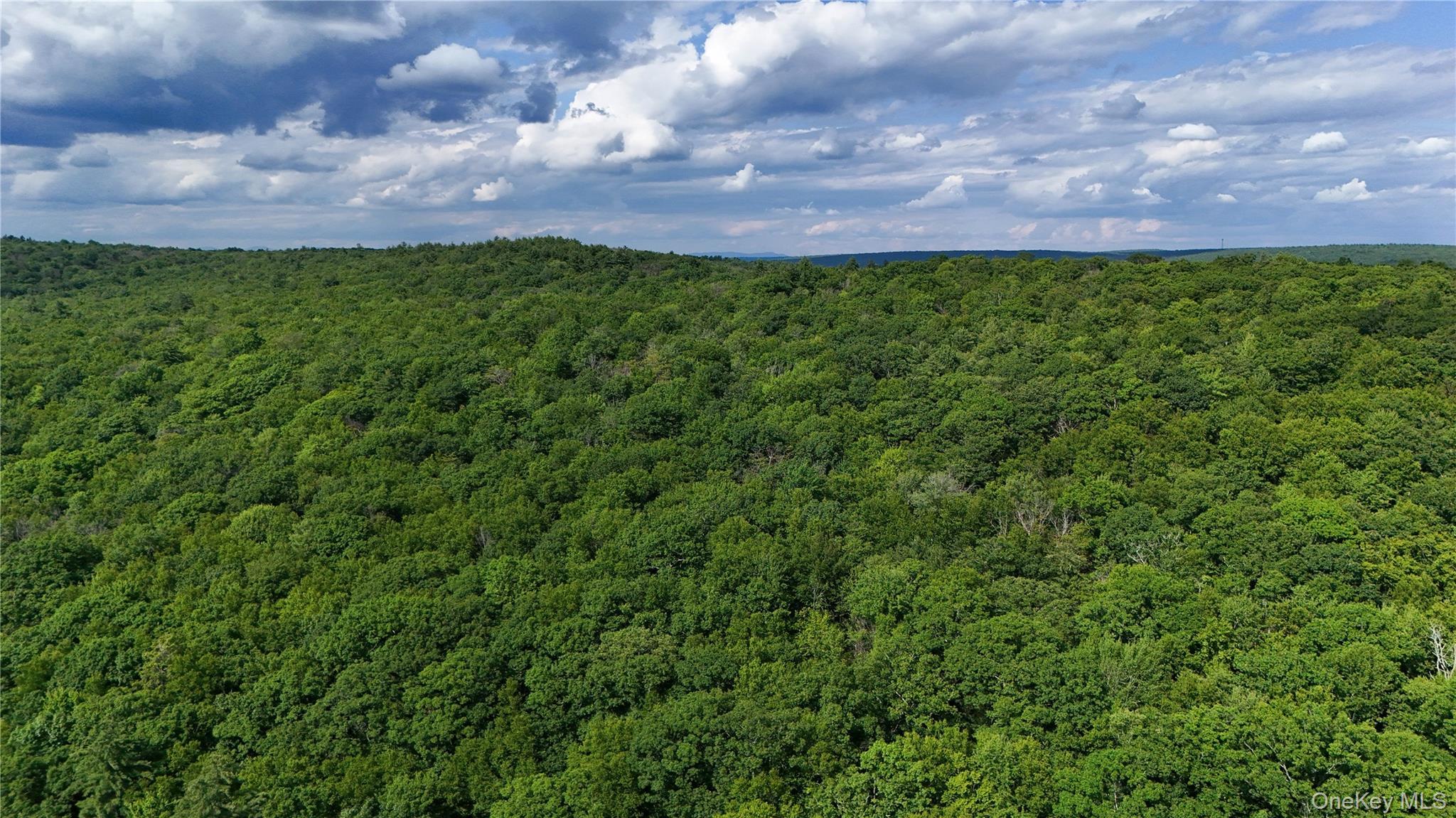 Single Family Hatchery Road  Sullivan County, NY 12777, MLS-1022570-8