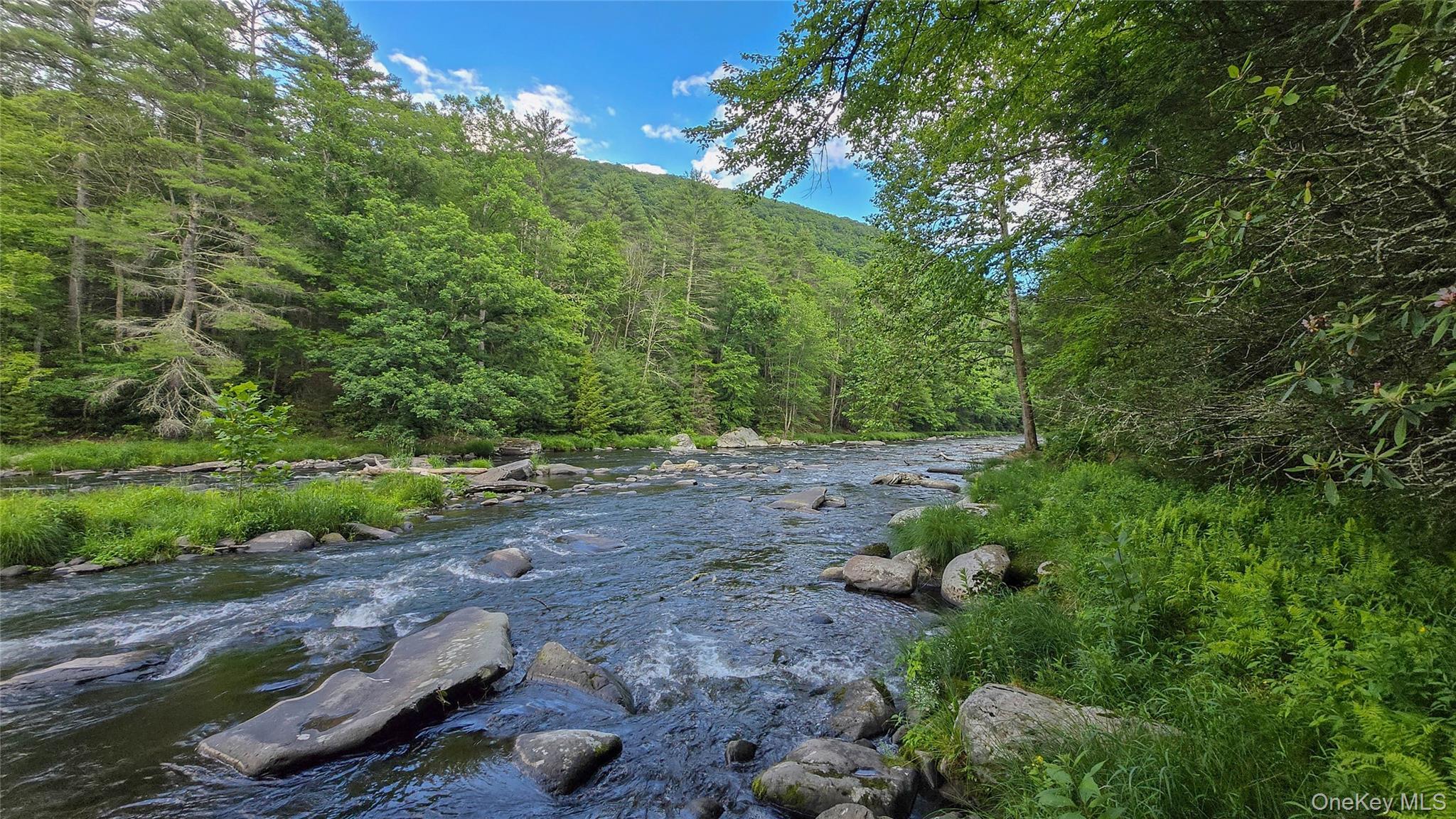Single Family Hatchery Road  Sullivan County, NY 12777, MLS-1022570-9