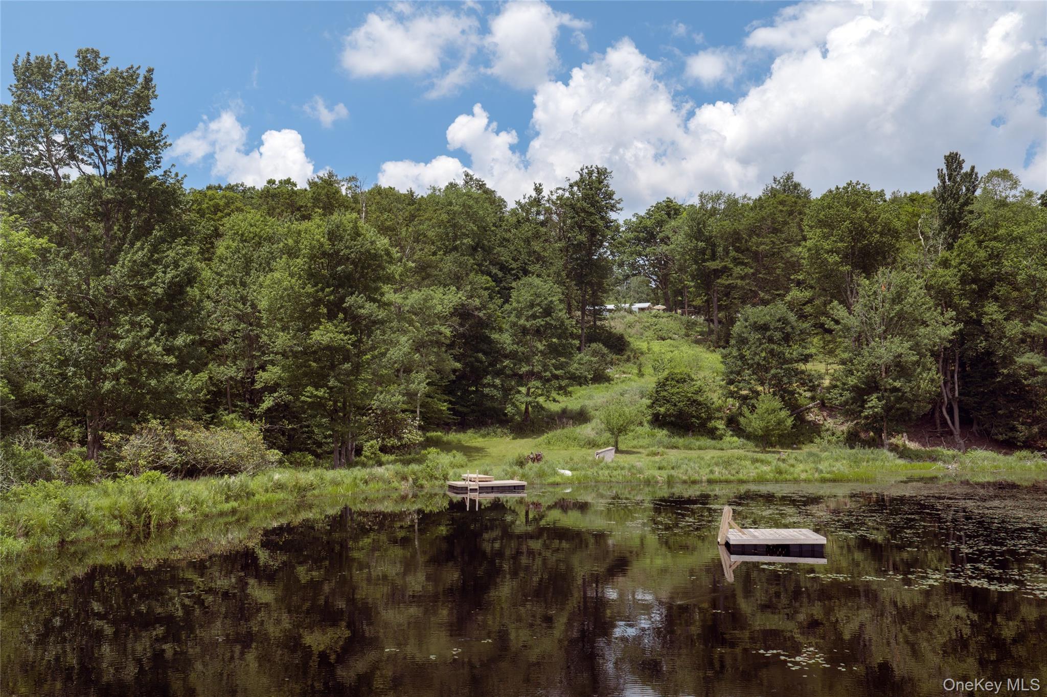 Single Family Church Road  Sullivan County, NY 12763, MLS-1022581-25