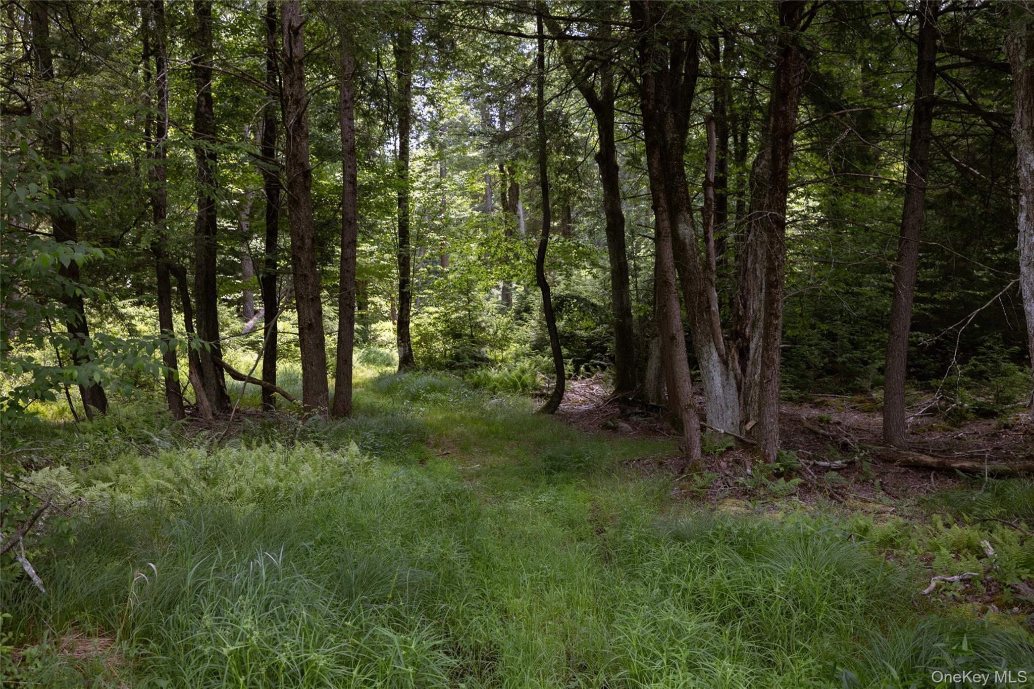 Single Family Church Road  Sullivan County, NY 12763, MLS-1022581-27