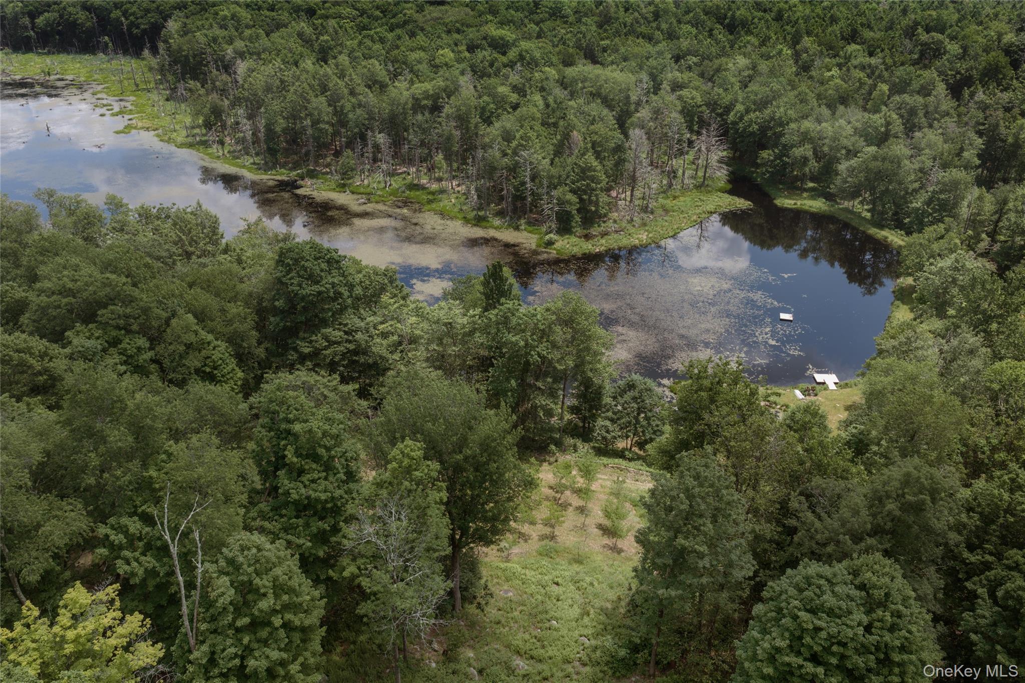 Single Family Church Road  Sullivan County, NY 12763, MLS-1022581-28