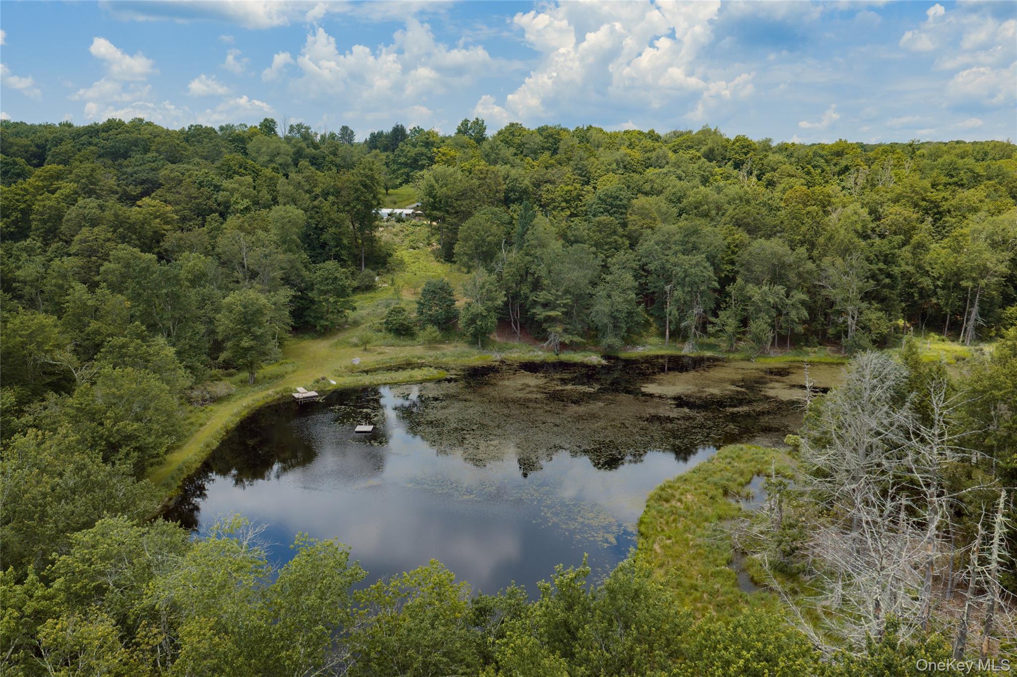 Single Family Church Road  Sullivan County, NY 12763, MLS-1022581-4