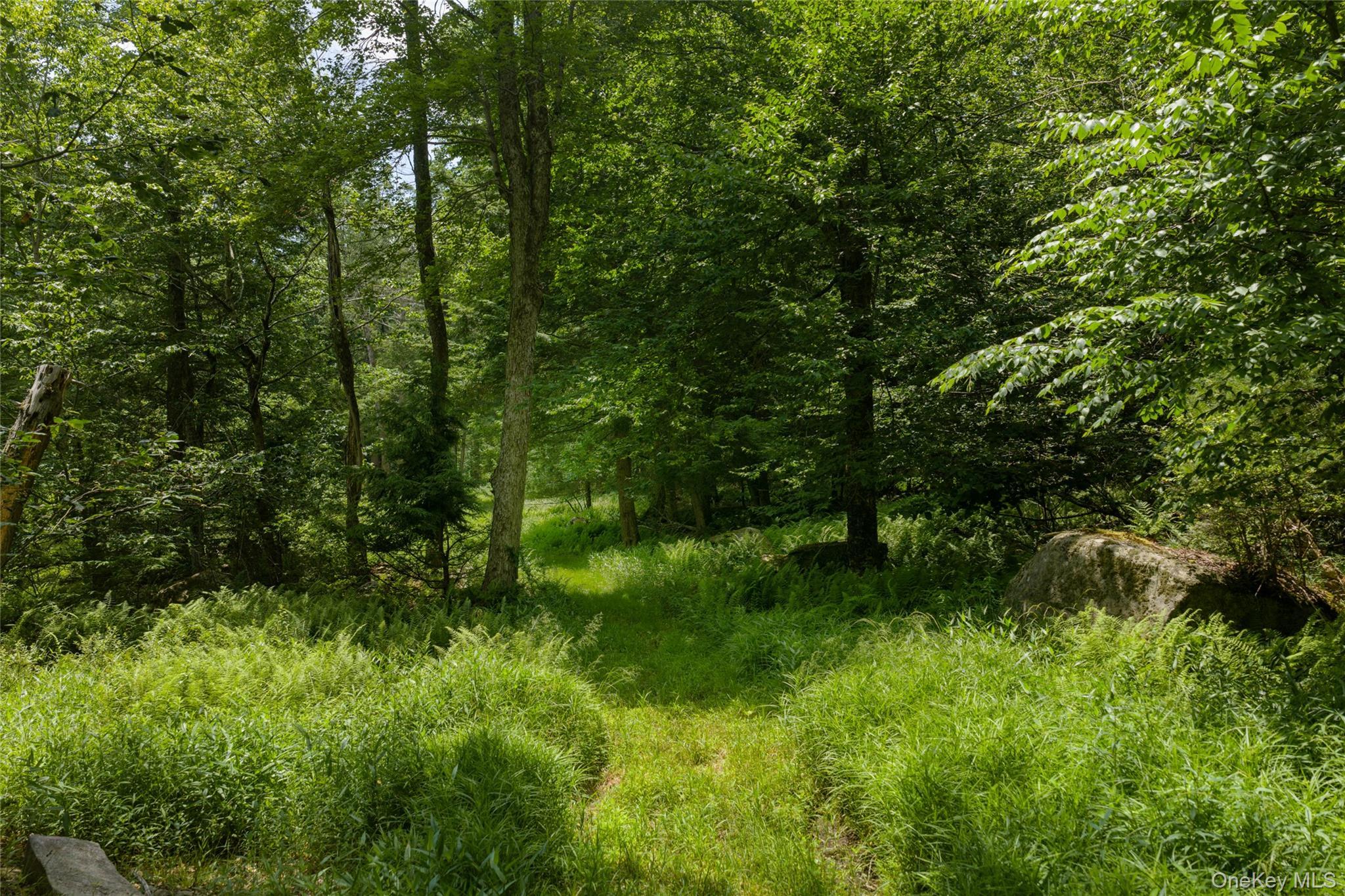 Single Family Church Road  Sullivan County, NY 12763, MLS-1022581-6