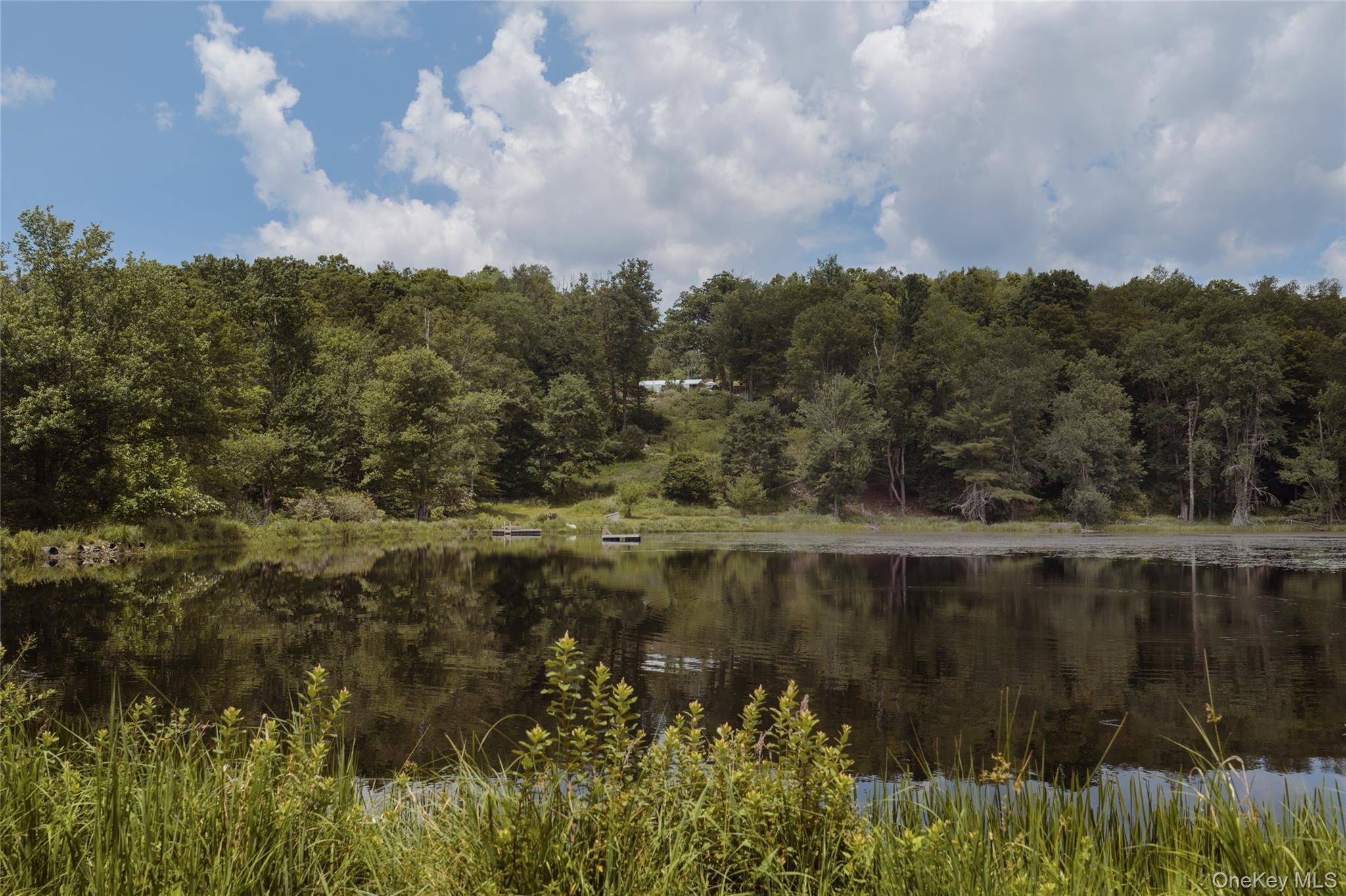 Single Family Church Road  Sullivan County, NY 12763, MLS-1022581-7