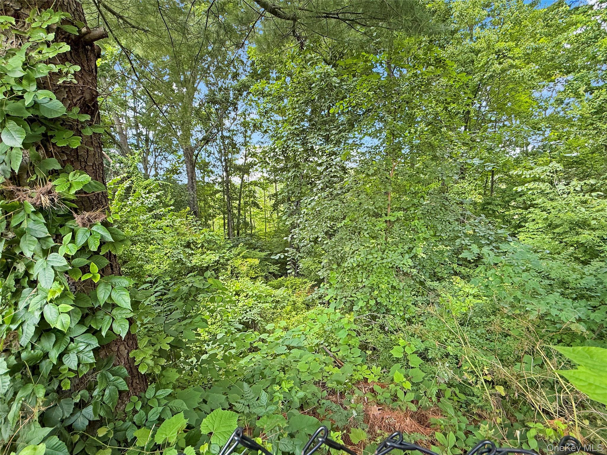 Single Family Regency Drive Dutchess County, NY 12603, MLS-1022595-29