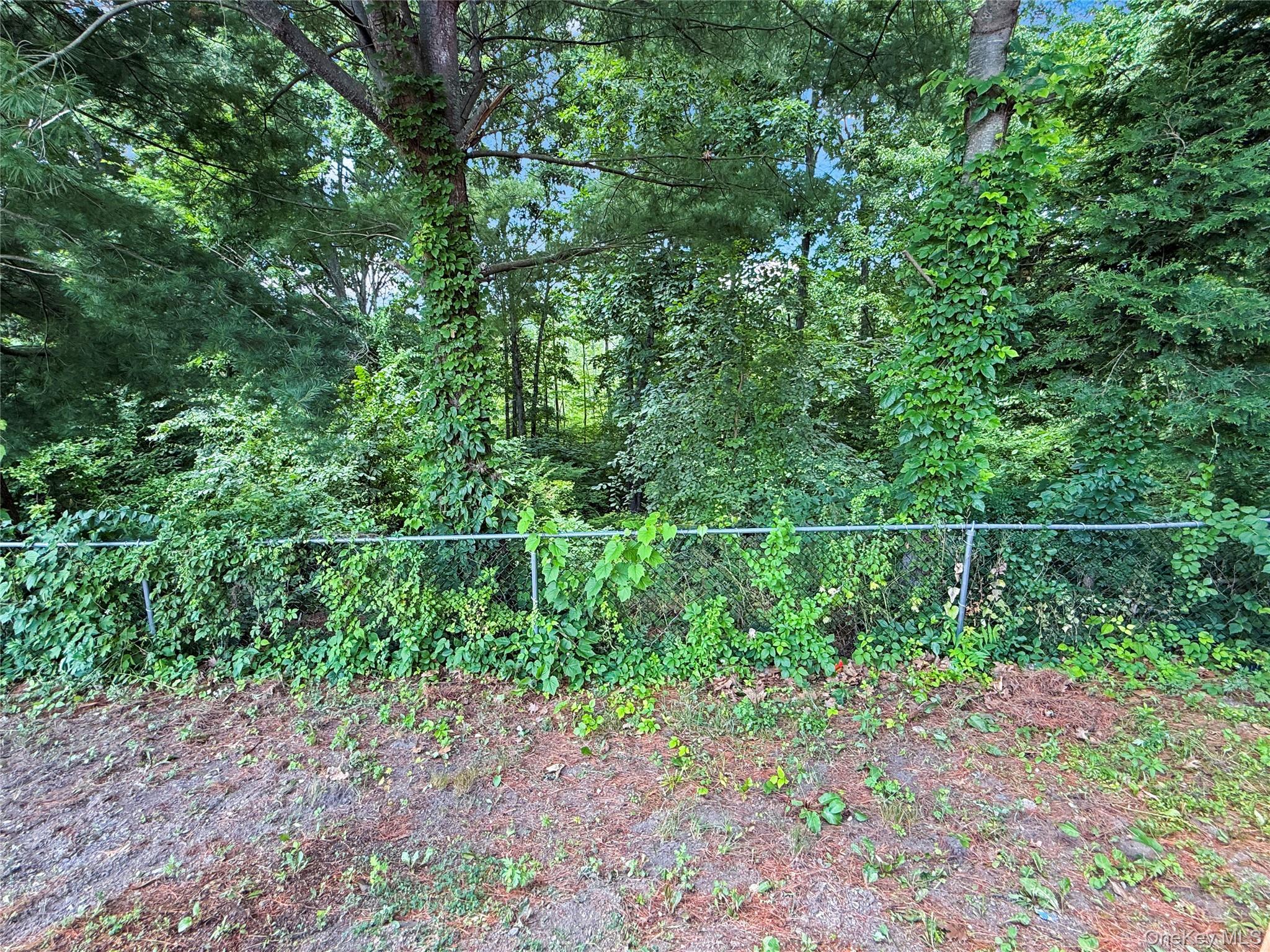 Single Family Regency Drive Dutchess County, NY 12603, MLS-1022595-30