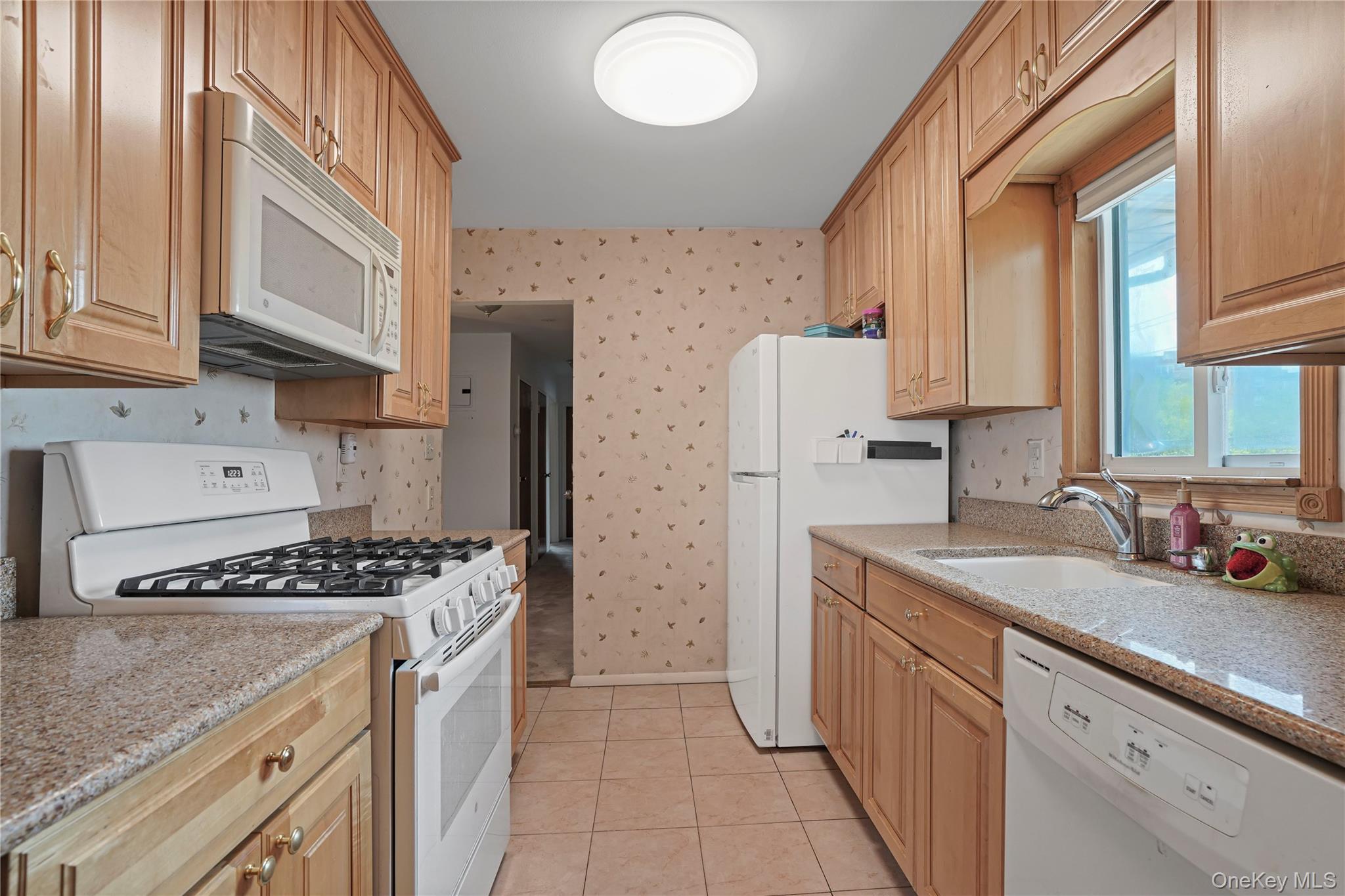 Single Family 83rd Street Queens, NY 11414, MLS-1022651-21