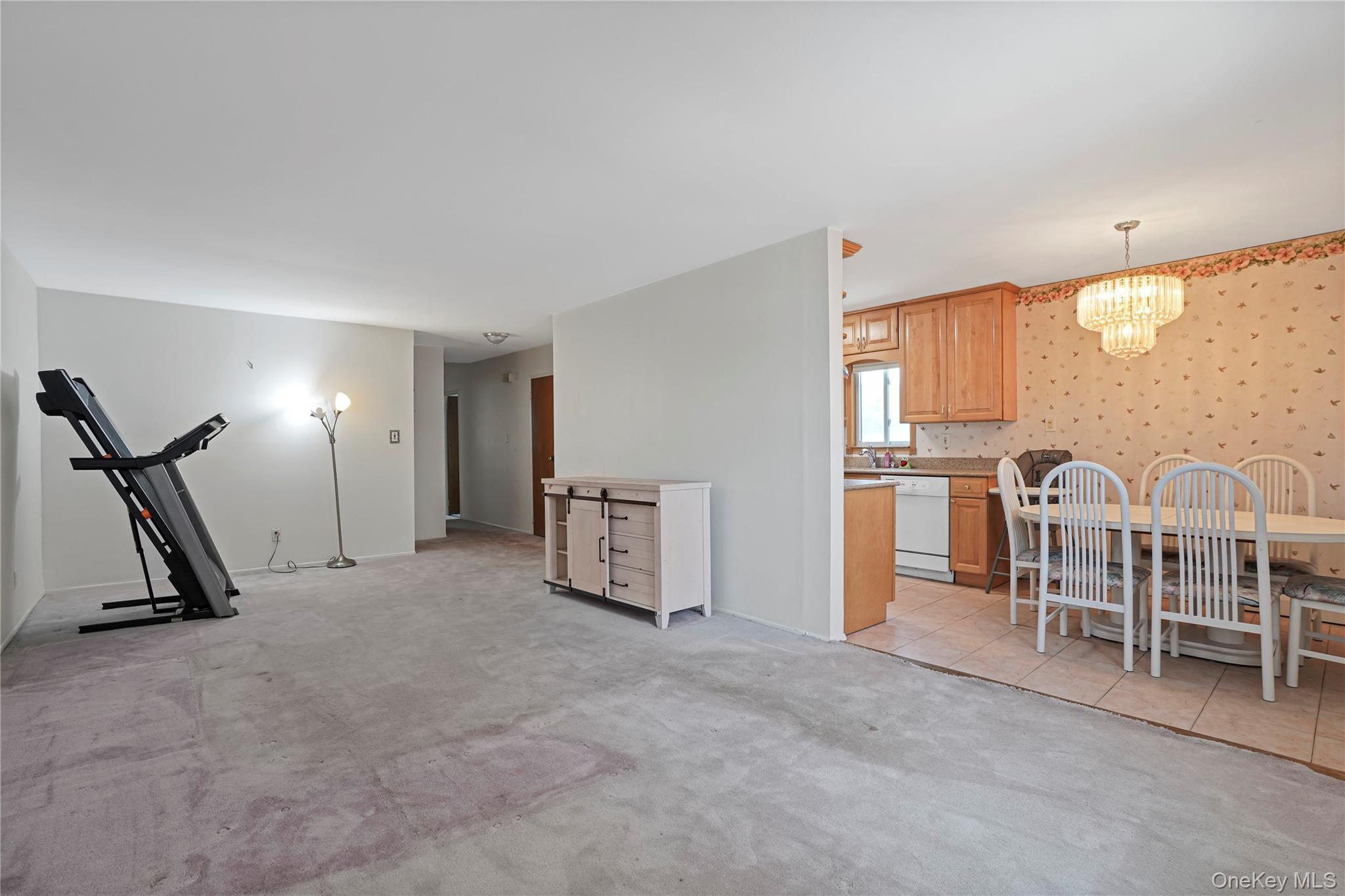 Single Family 83rd Street Queens, NY 11414, MLS-1022651-23
