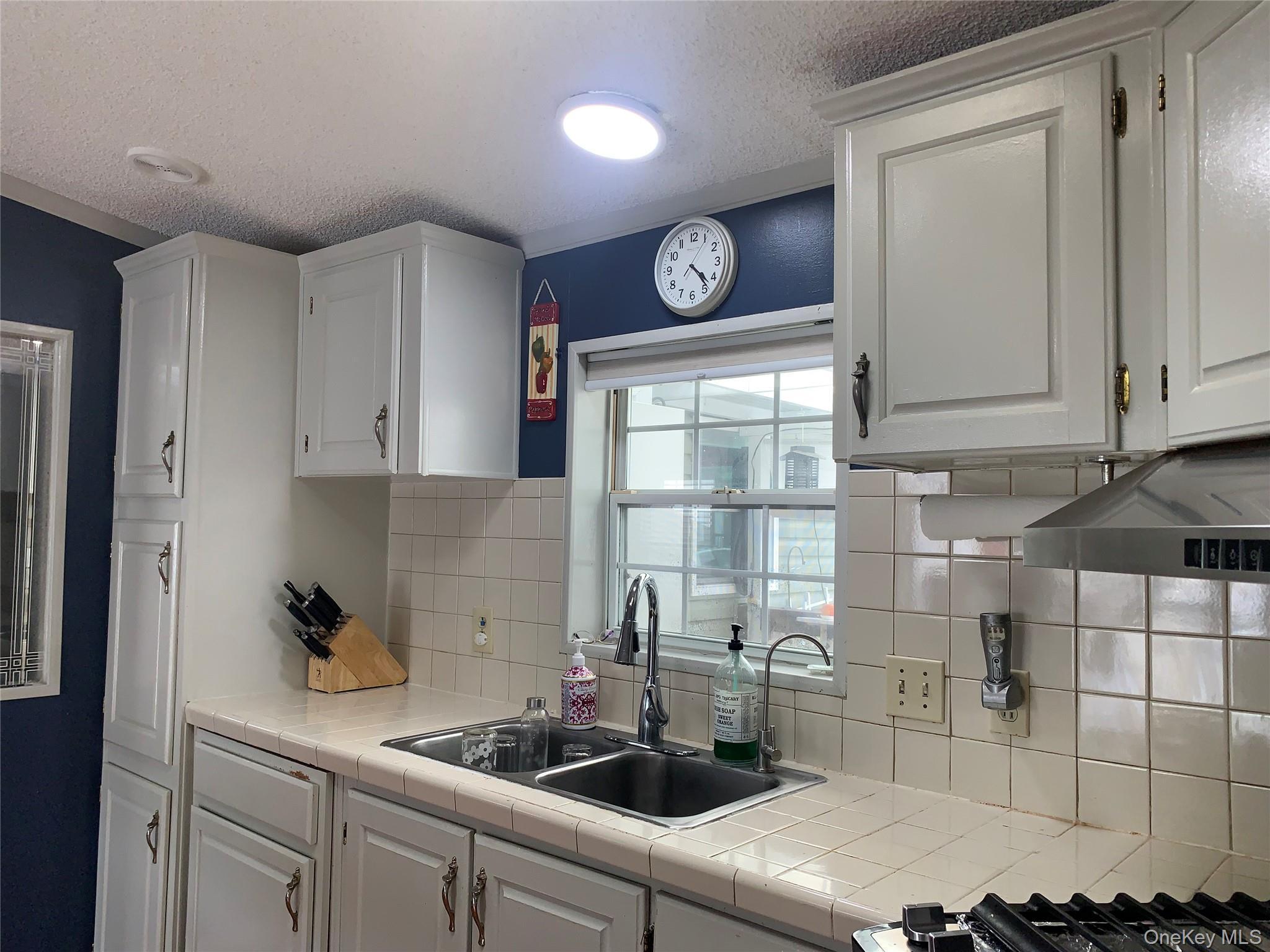 Single Family Parkway Trailer Ct. Rockland County, NY 10970, MLS-1022704-19