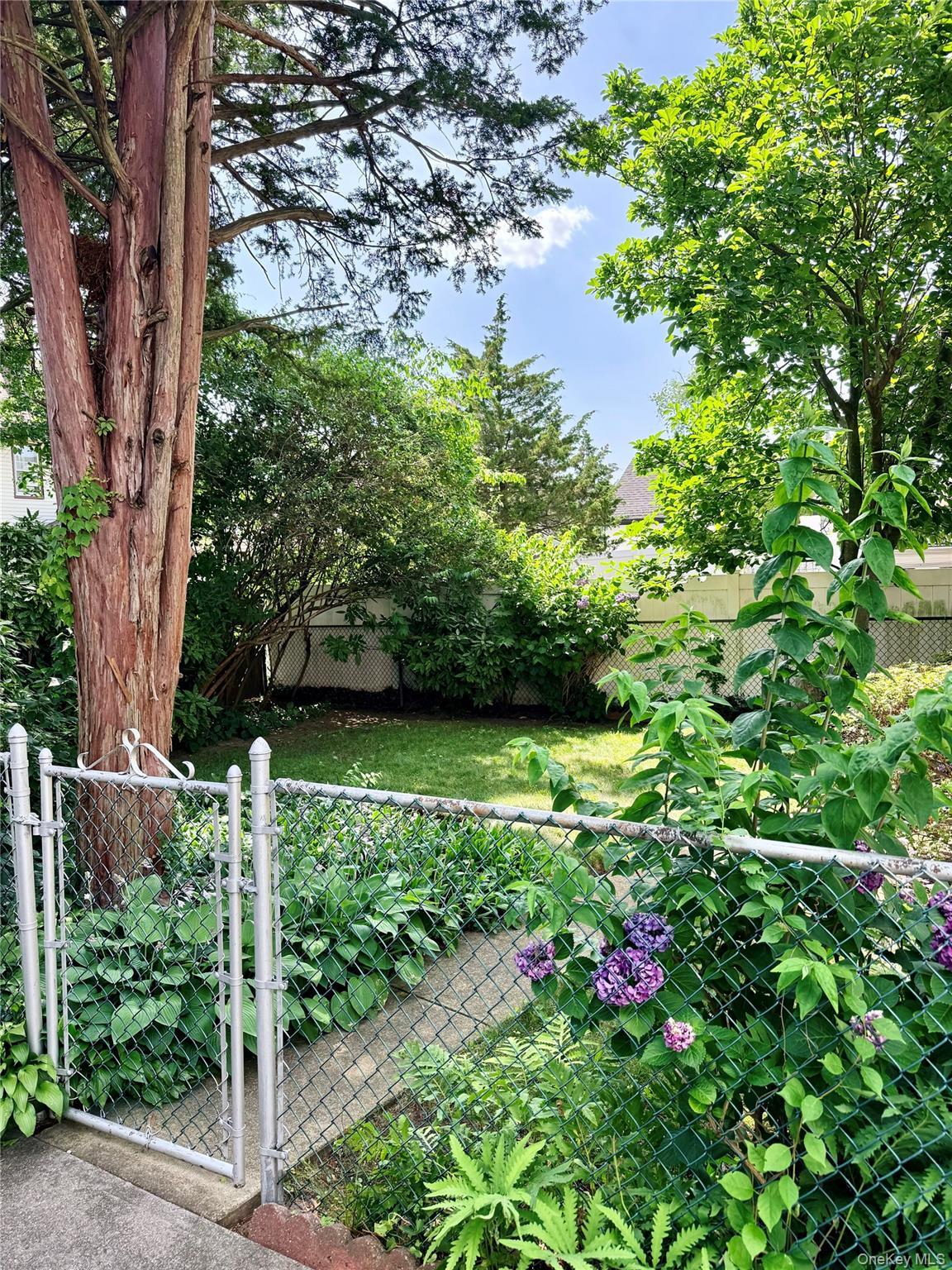 Single Family Glenwood Street Queens, NY 11363, MLS-1022809-24