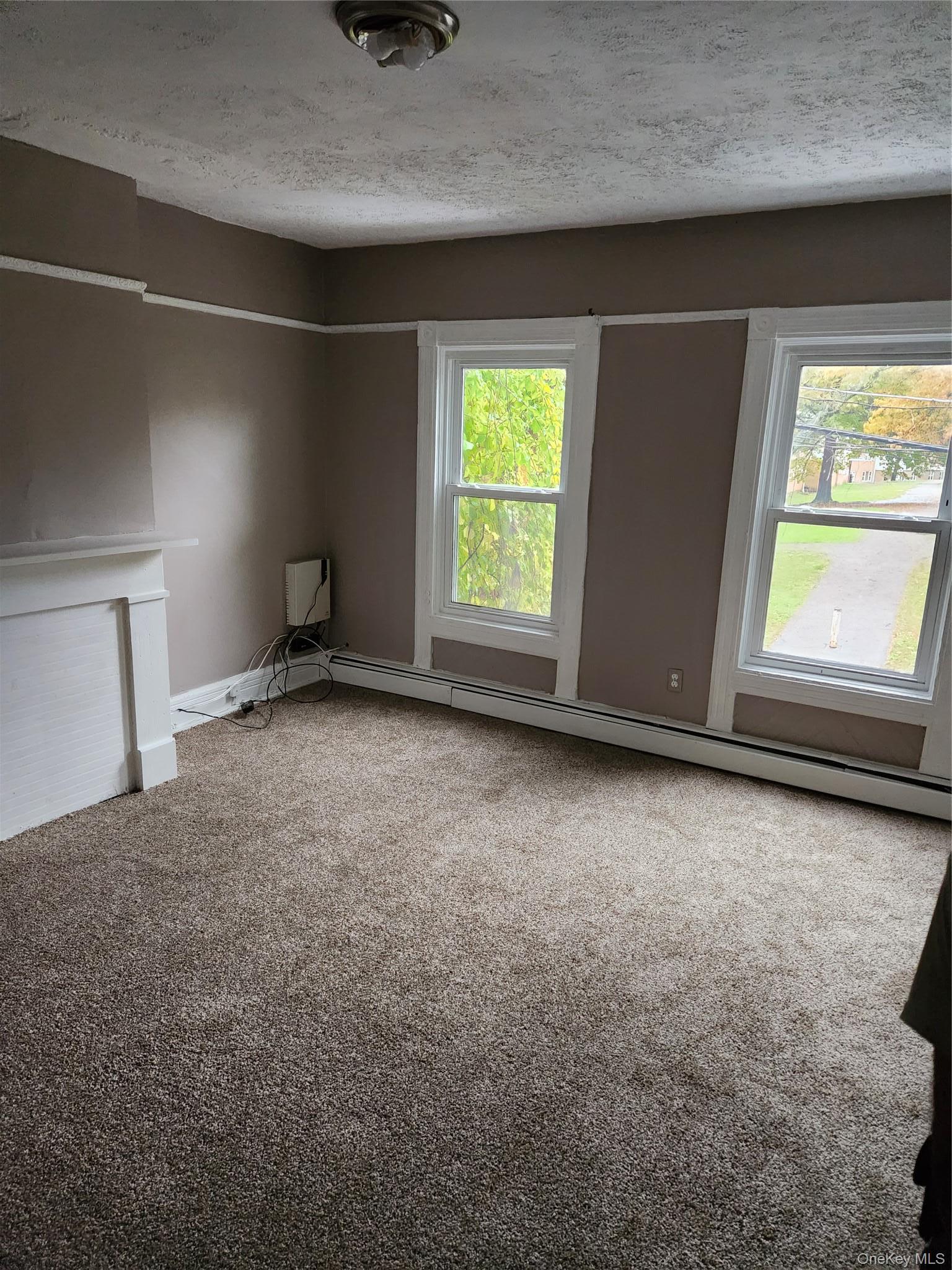 Single Family Charles Street Dutchess County, NY 12601, MLS-1022816-15