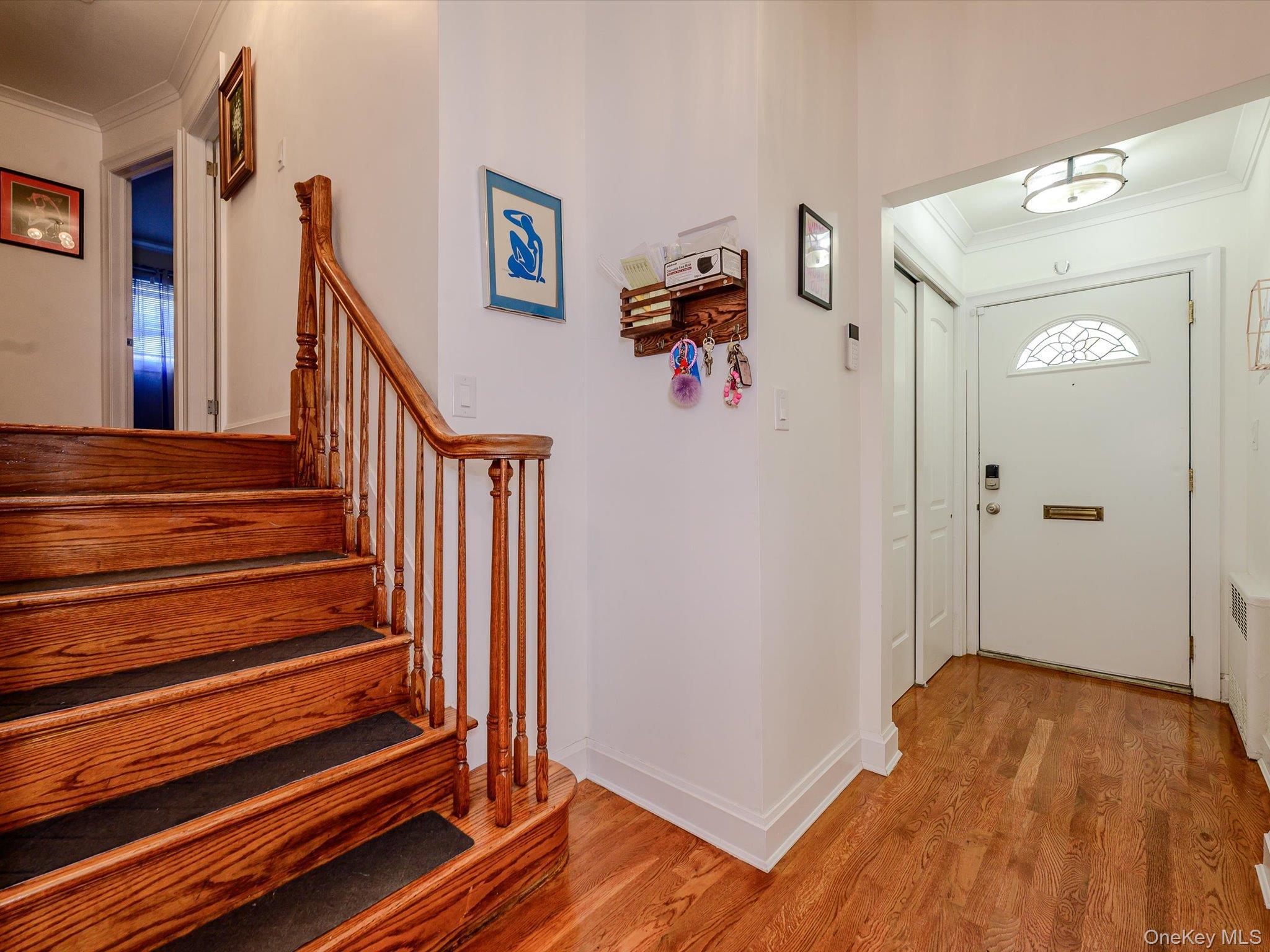 Single Family Baylis Avenue  Nassau County, NY 11003, MLS-1022826-3