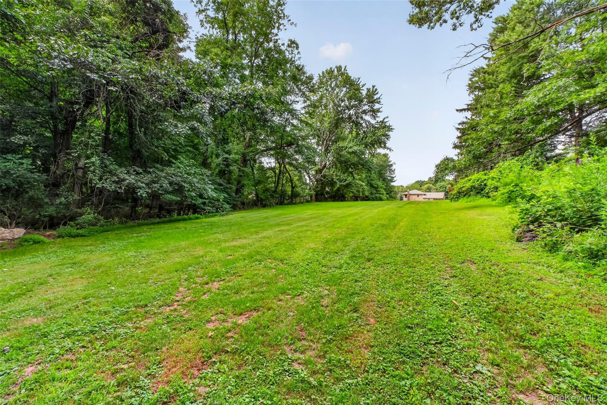 Single Family Ridge Street  Westchester County, NY 10598, MLS-1022847-15