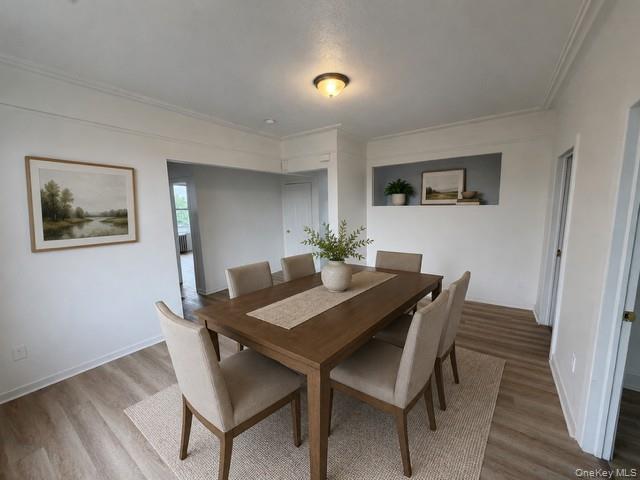 Apartment Pilgrim Avenue  Bronx, NY 10461, MLS-1022964-7
