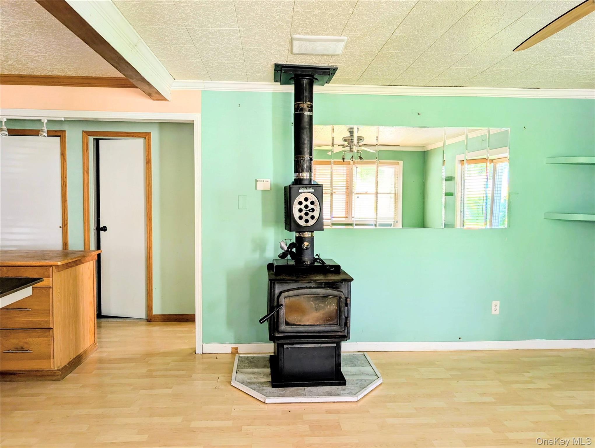 Single Family Carrier Street Sullivan County, NY 12754, MLS-1022972-13