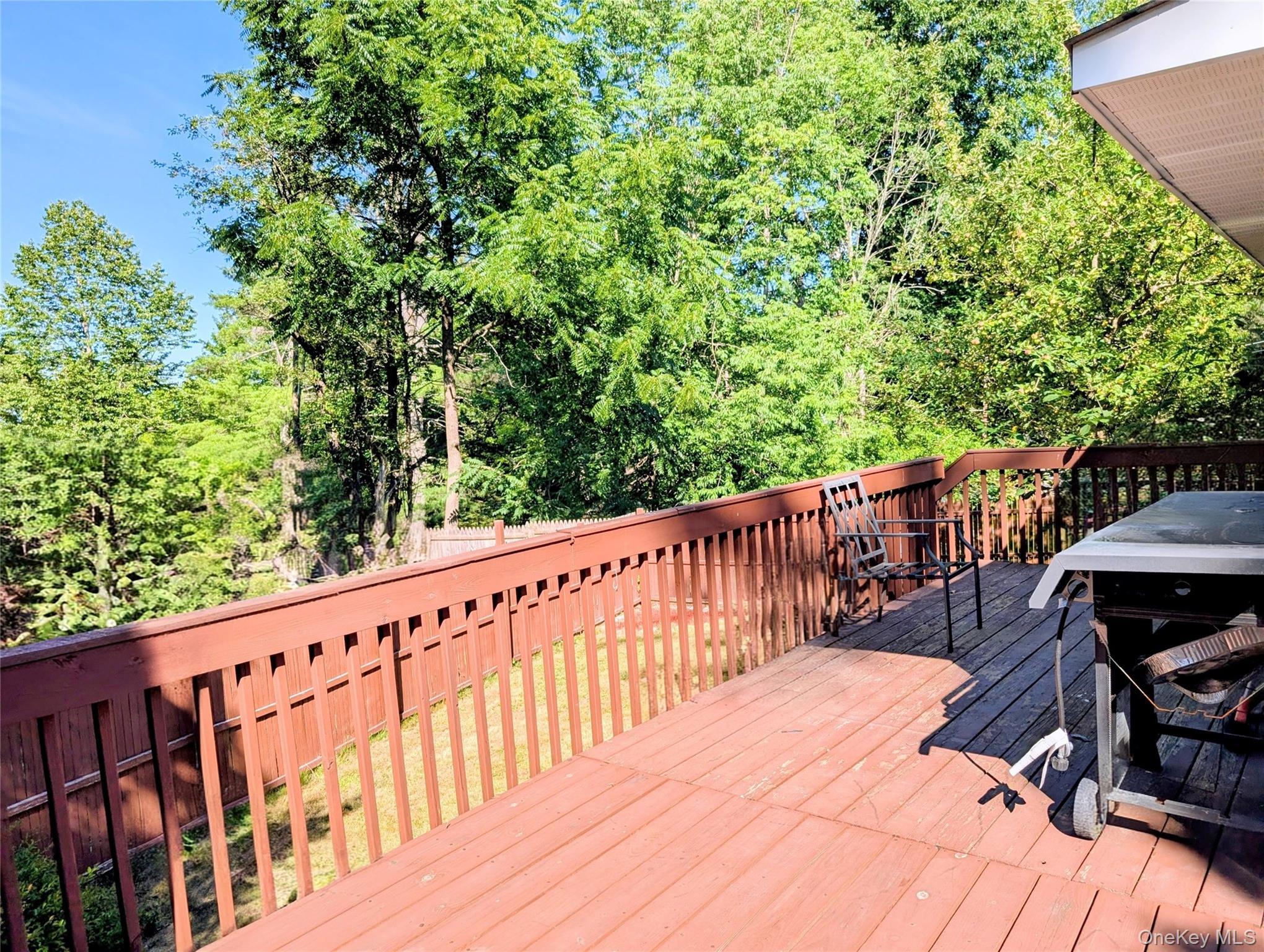 Single Family Carrier Street Sullivan County, NY 12754, MLS-1022972-23