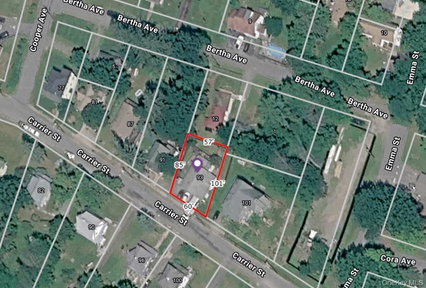 Single Family Carrier Street  Sullivan County, NY 12754, MLS-1022972-40