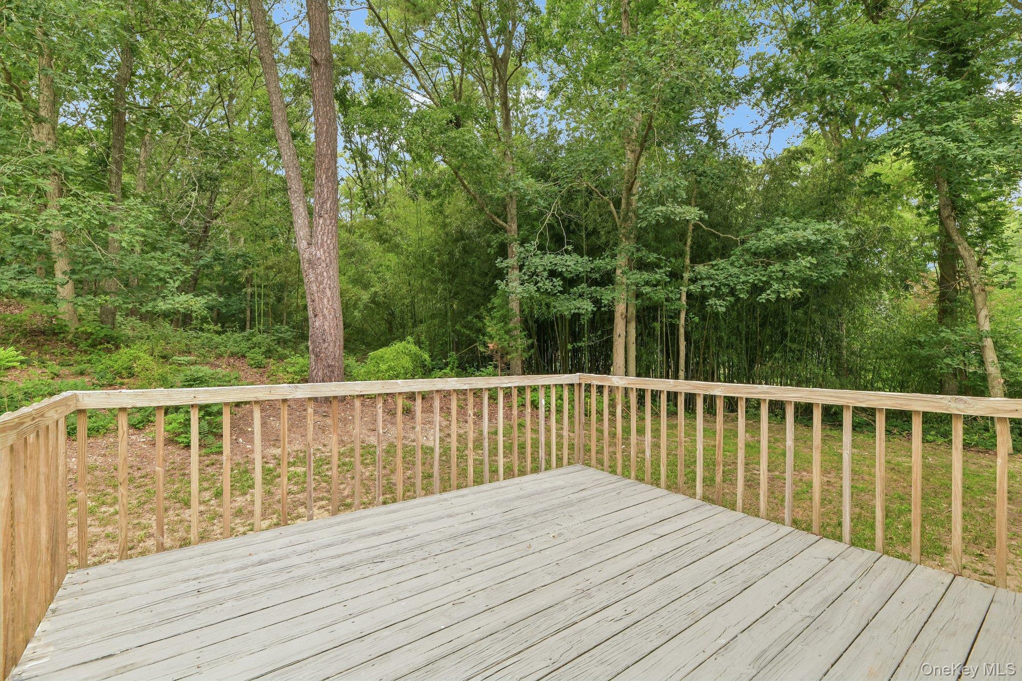 Single Family Red Maple Road Suffolk County, NY 11961, MLS-1023024-25