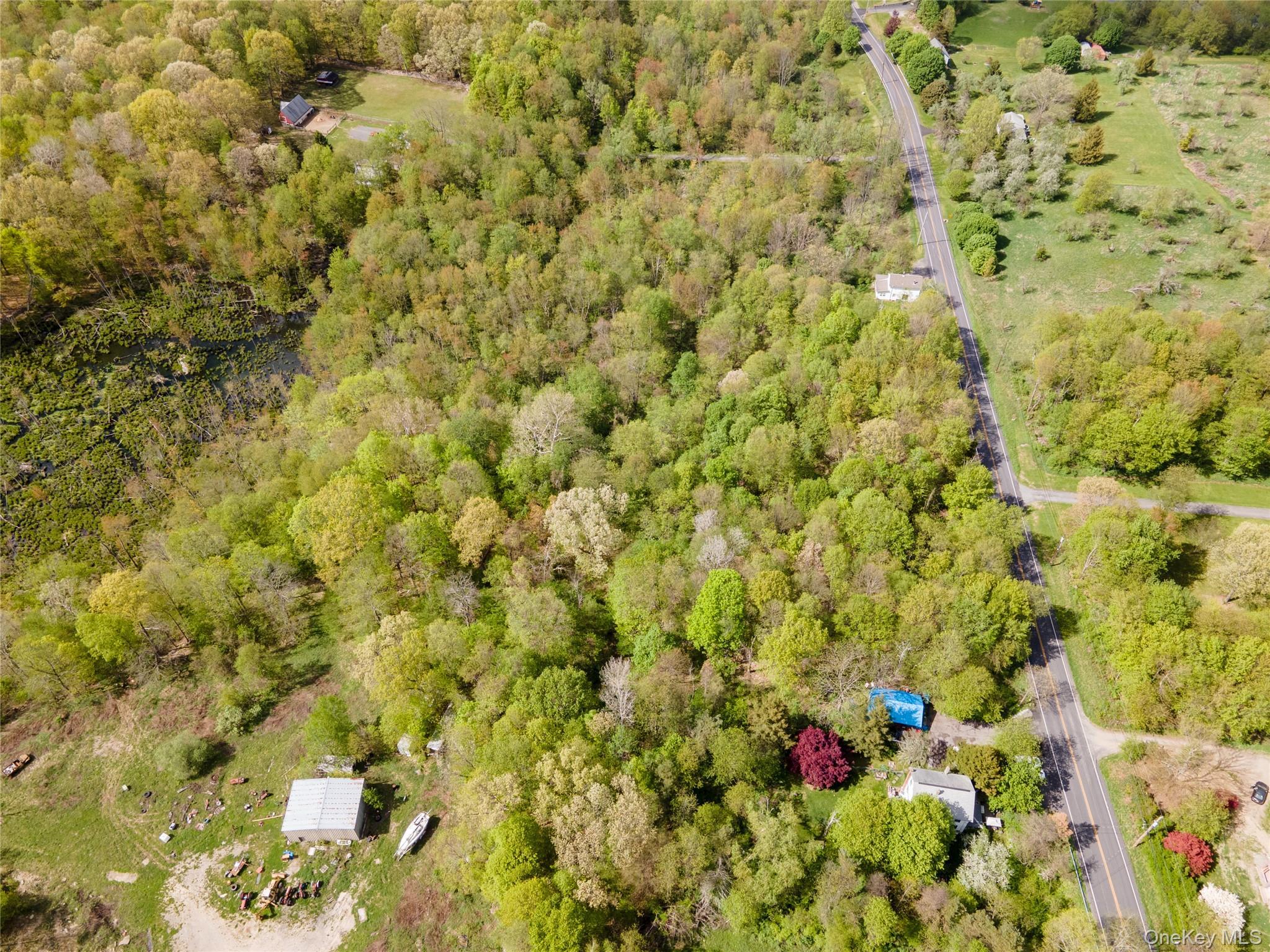 Single Family Tuckers Corners Road Ulster County, NY 12528, MLS-1023031-14