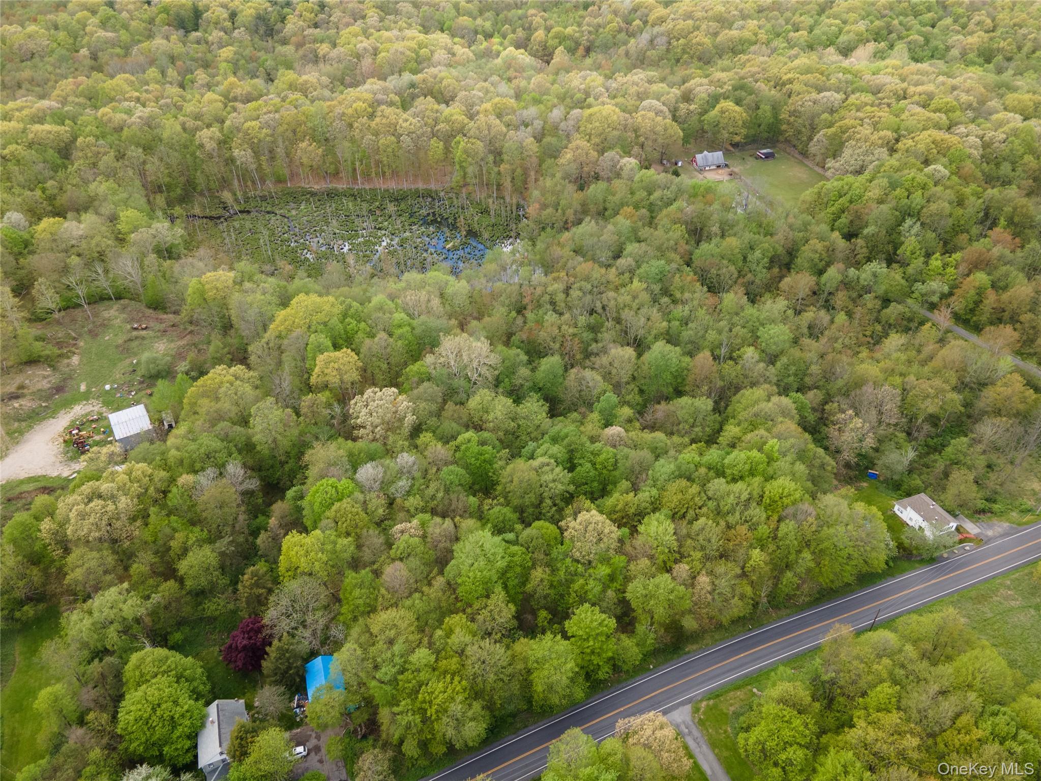 Single Family Tuckers Corners Road Ulster County, NY 12528, MLS-1023031-15