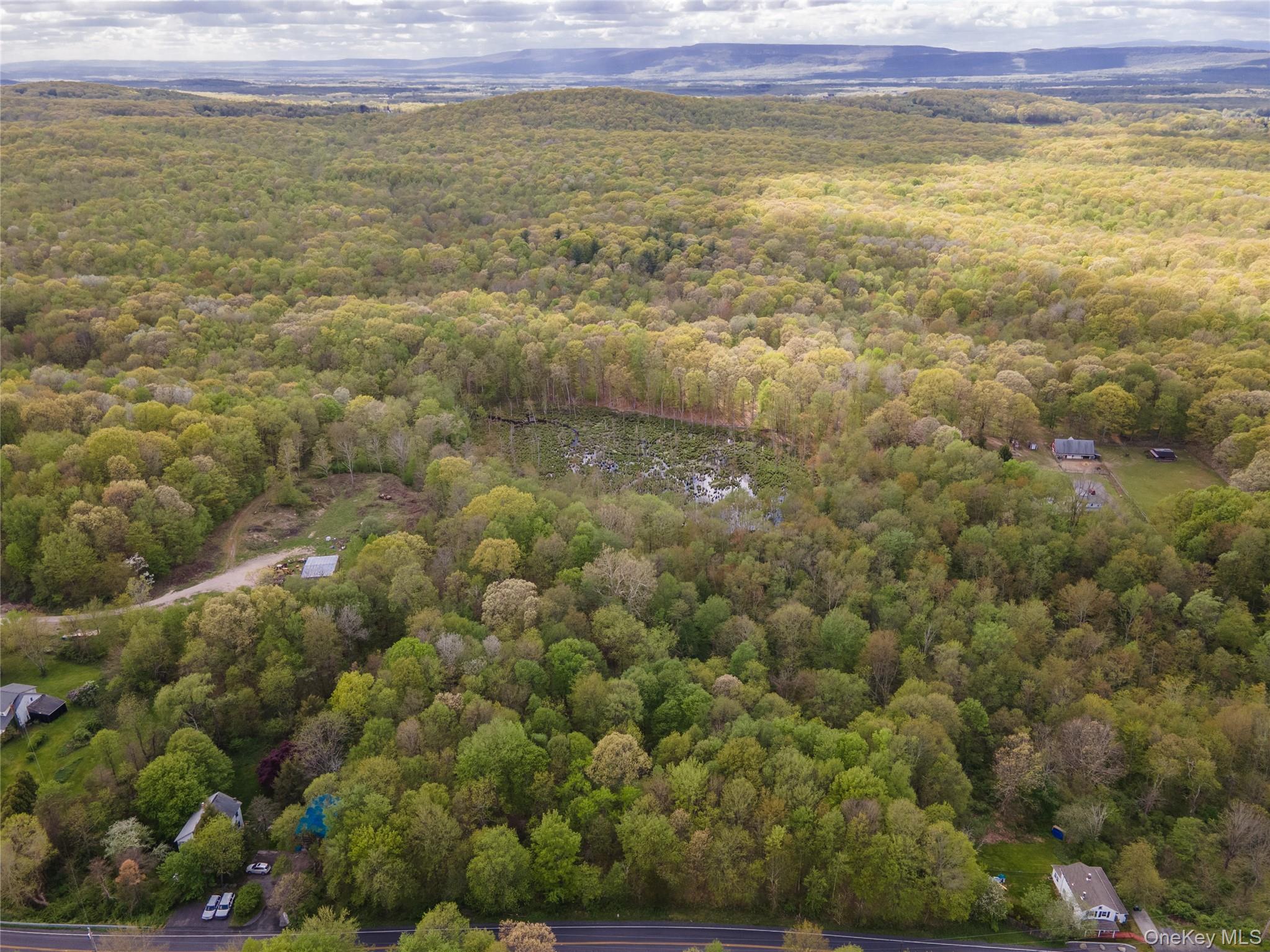 Single Family Tuckers Corners Road  Ulster County, NY 12528, MLS-1023035-15