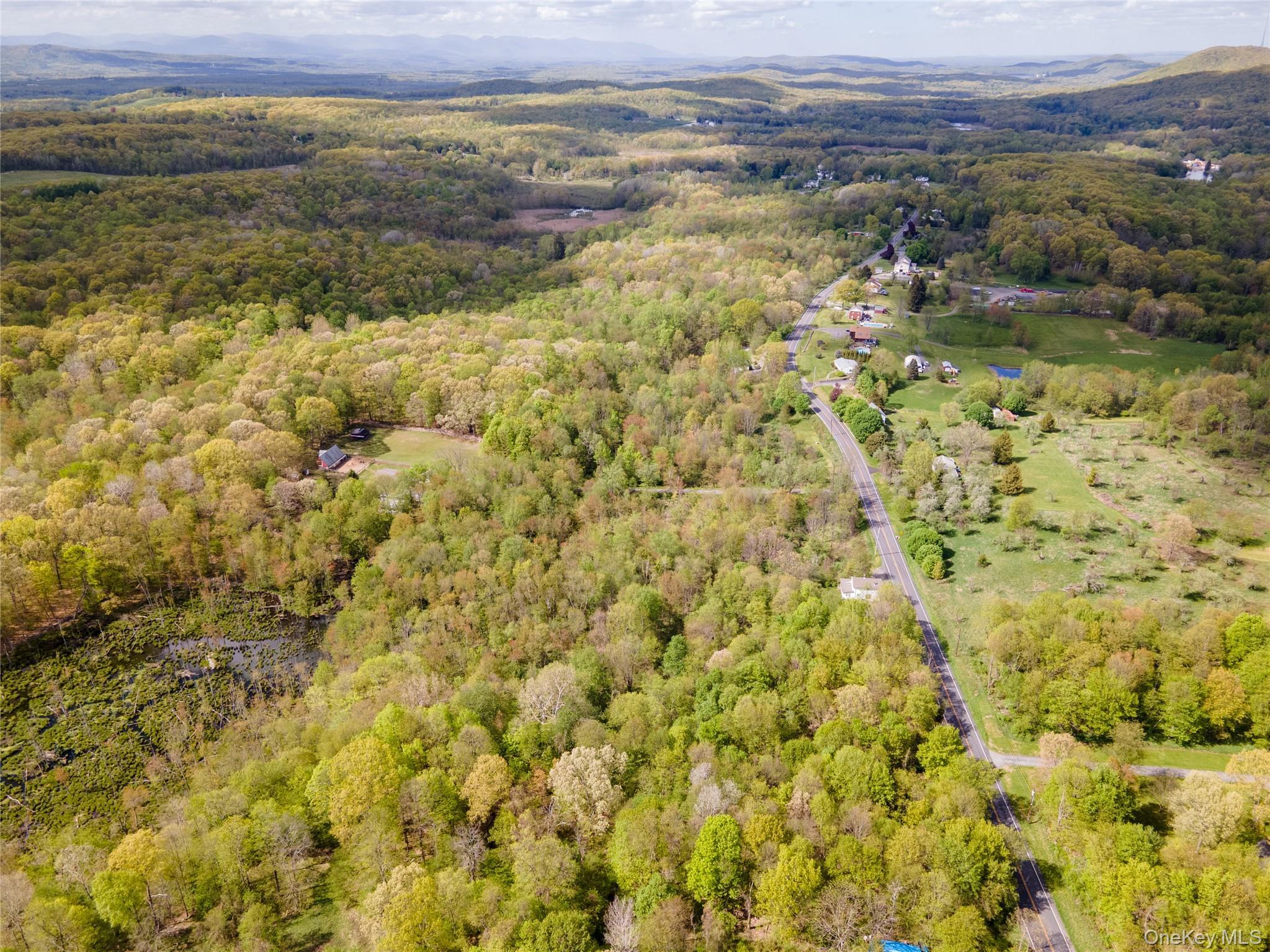 Single Family Tuckers Corners Road  Ulster County, NY 12528, MLS-1023035-20