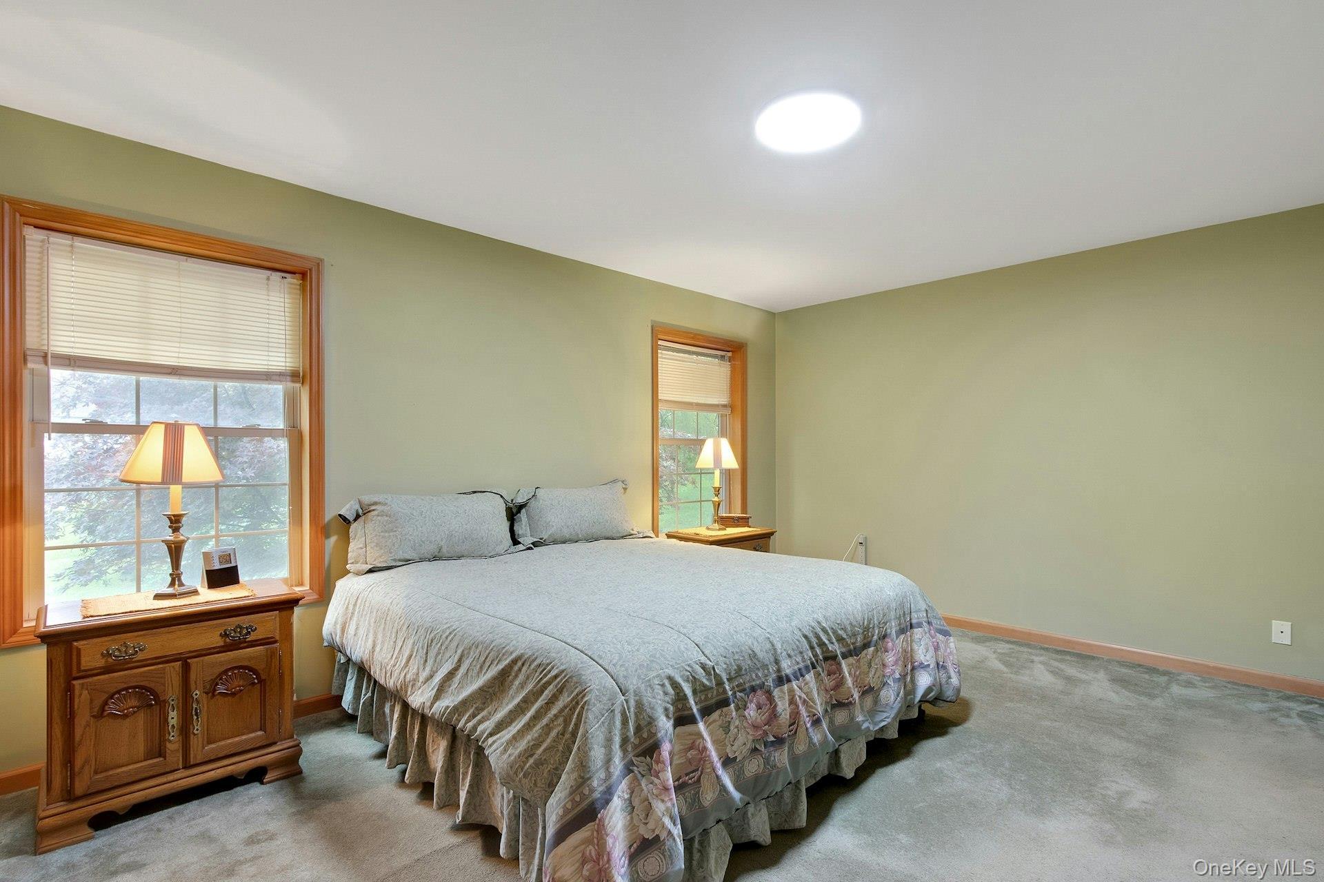 Single Family Hoyt Street Ulster County, NY 12466, MLS-1023045-19