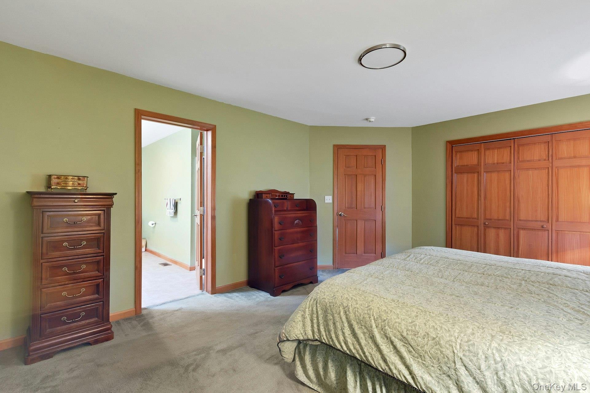 Single Family Hoyt Street Ulster County, NY 12466, MLS-1023045-23