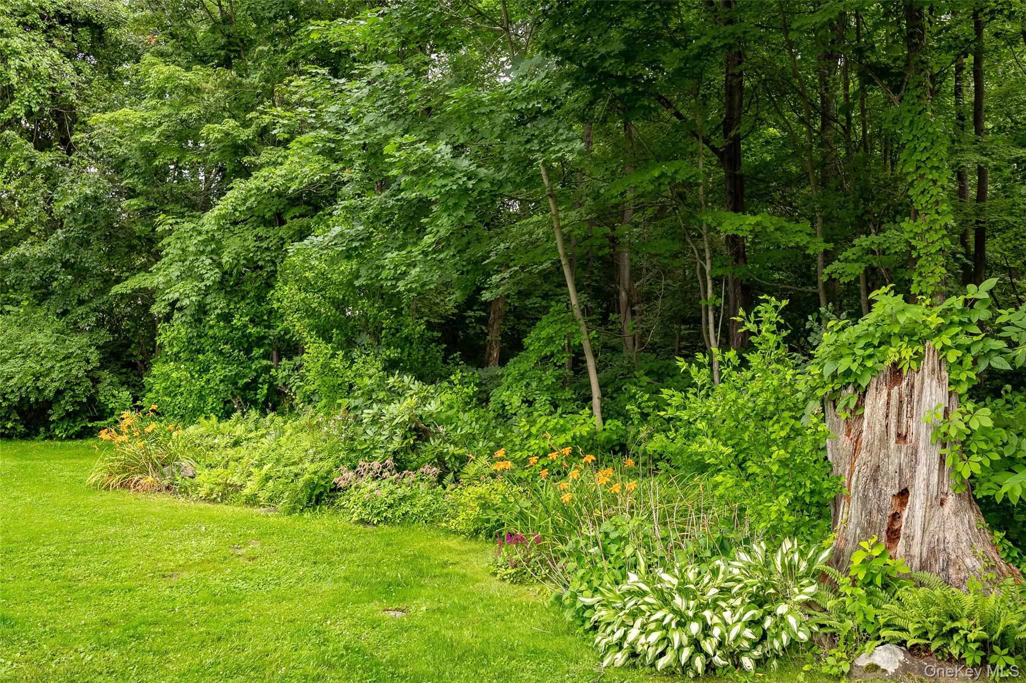 Single Family Holt Road  Dutchess County, NY 12538, MLS-1023047-21