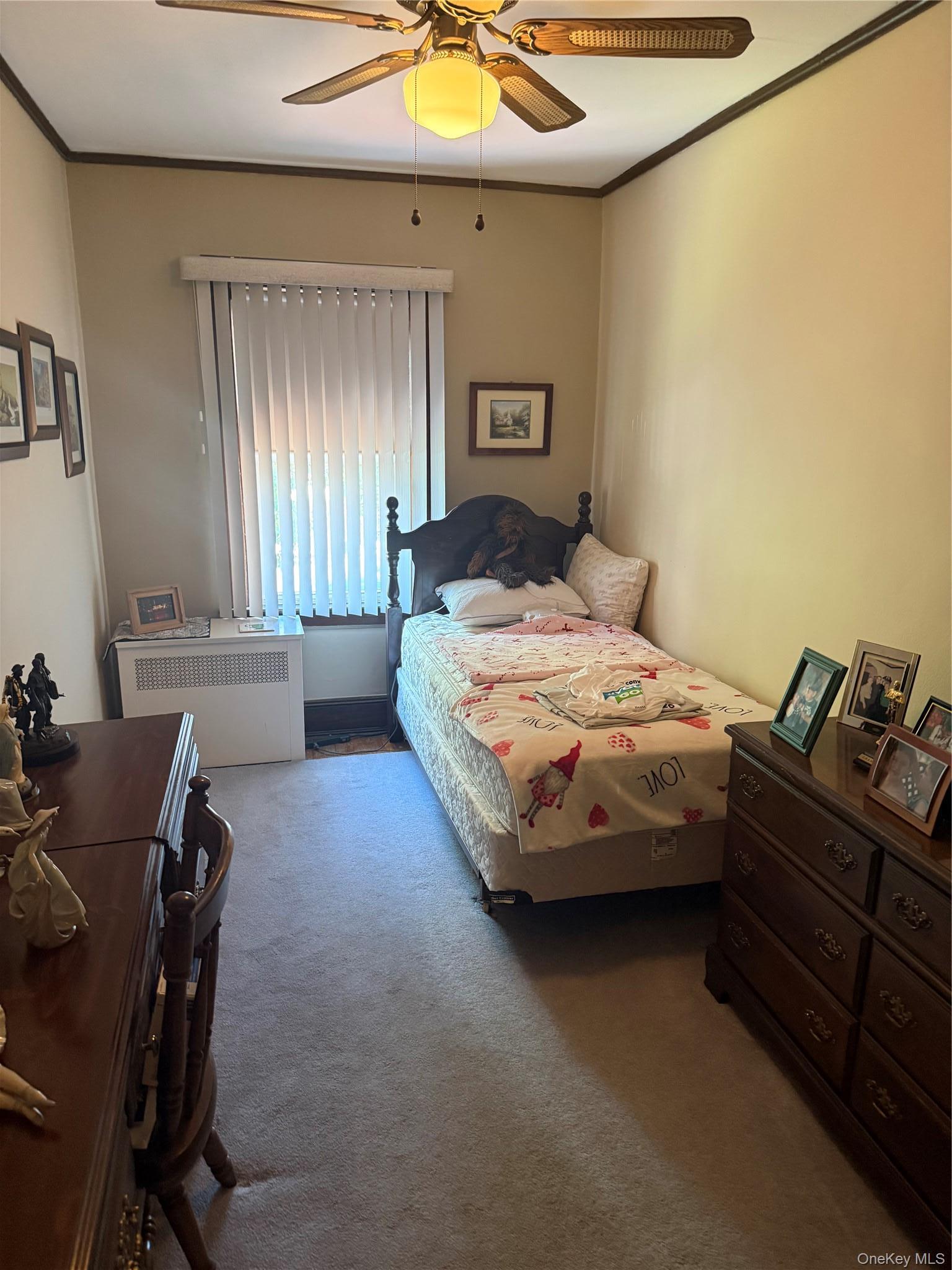 Single Family 84th Street Queens, NY 11379, MLS-1023100-18