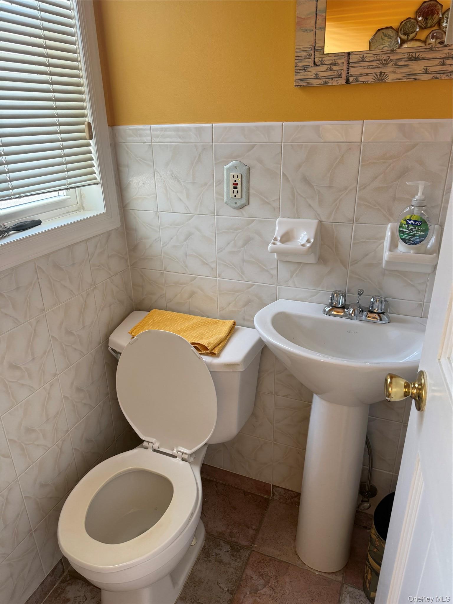 Single Family 84th Street Queens, NY 11379, MLS-1023100-5
