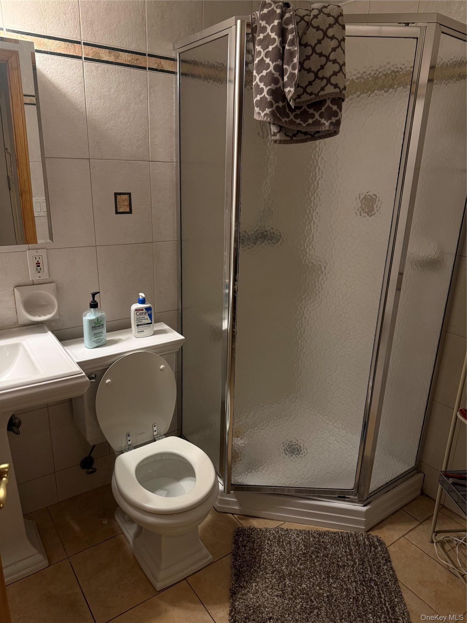 Single Family 84th Street Queens, NY 11379, MLS-1023100-9