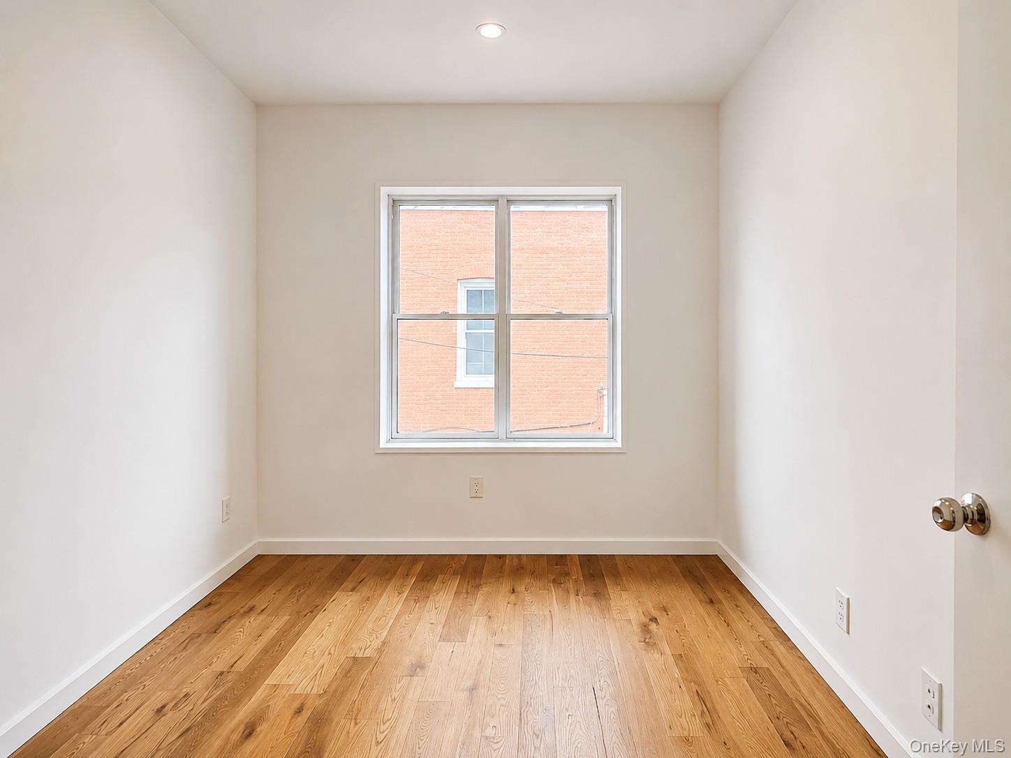 Single Family Rockaway Avenue Brooklyn, NY 11233, MLS-1023103-10