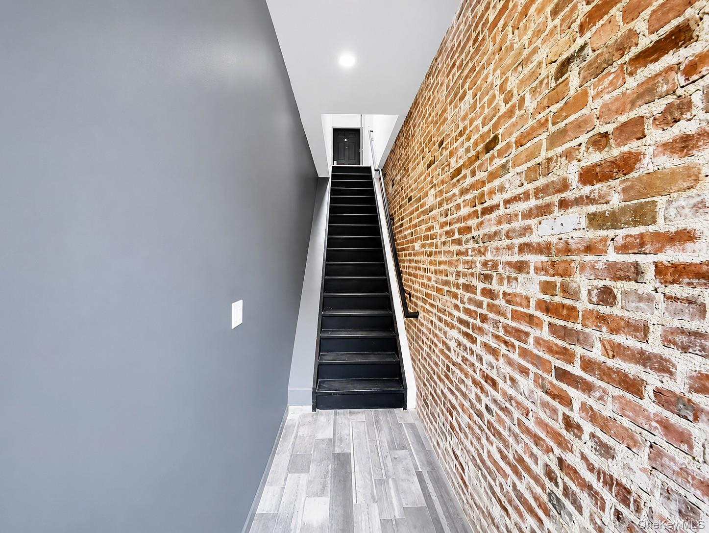Single Family Rockaway Avenue Brooklyn, NY 11233, MLS-1023103-11
