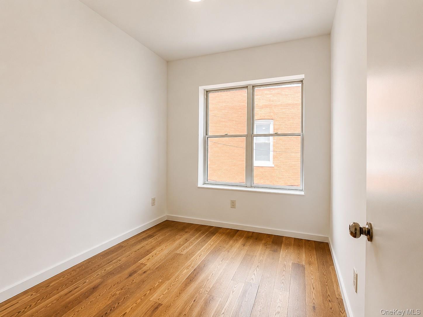 Single Family Rockaway Avenue Brooklyn, NY 11233, MLS-1023103-8