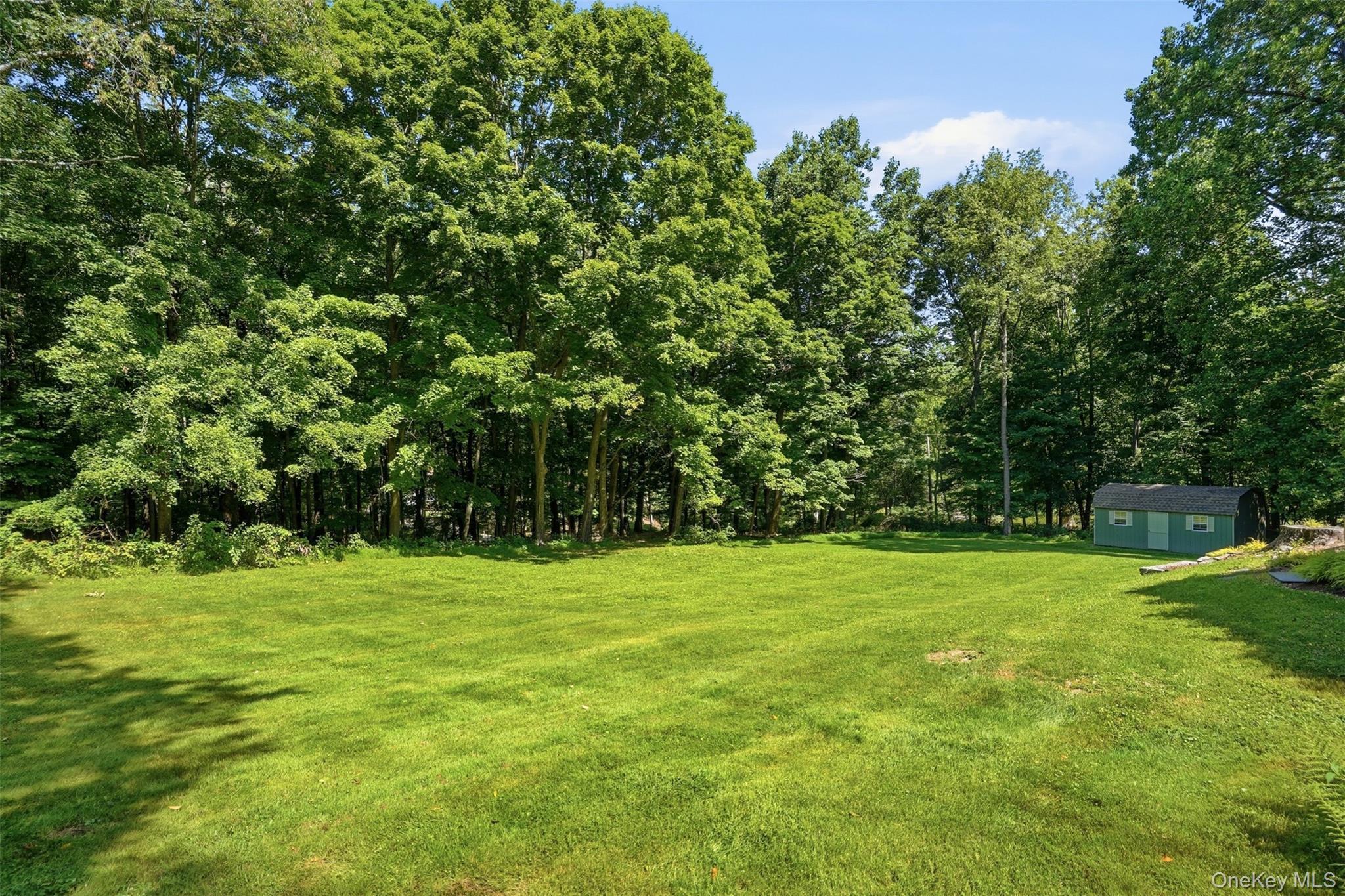Single Family Old Ridge Road Orange County, NY 10990, MLS-1023112-45