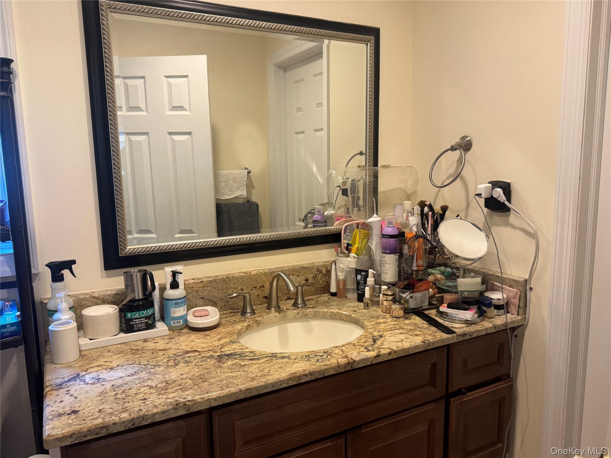 Single Family Bushwick Street  Suffolk County, NY 11747, MLS-1023194-13