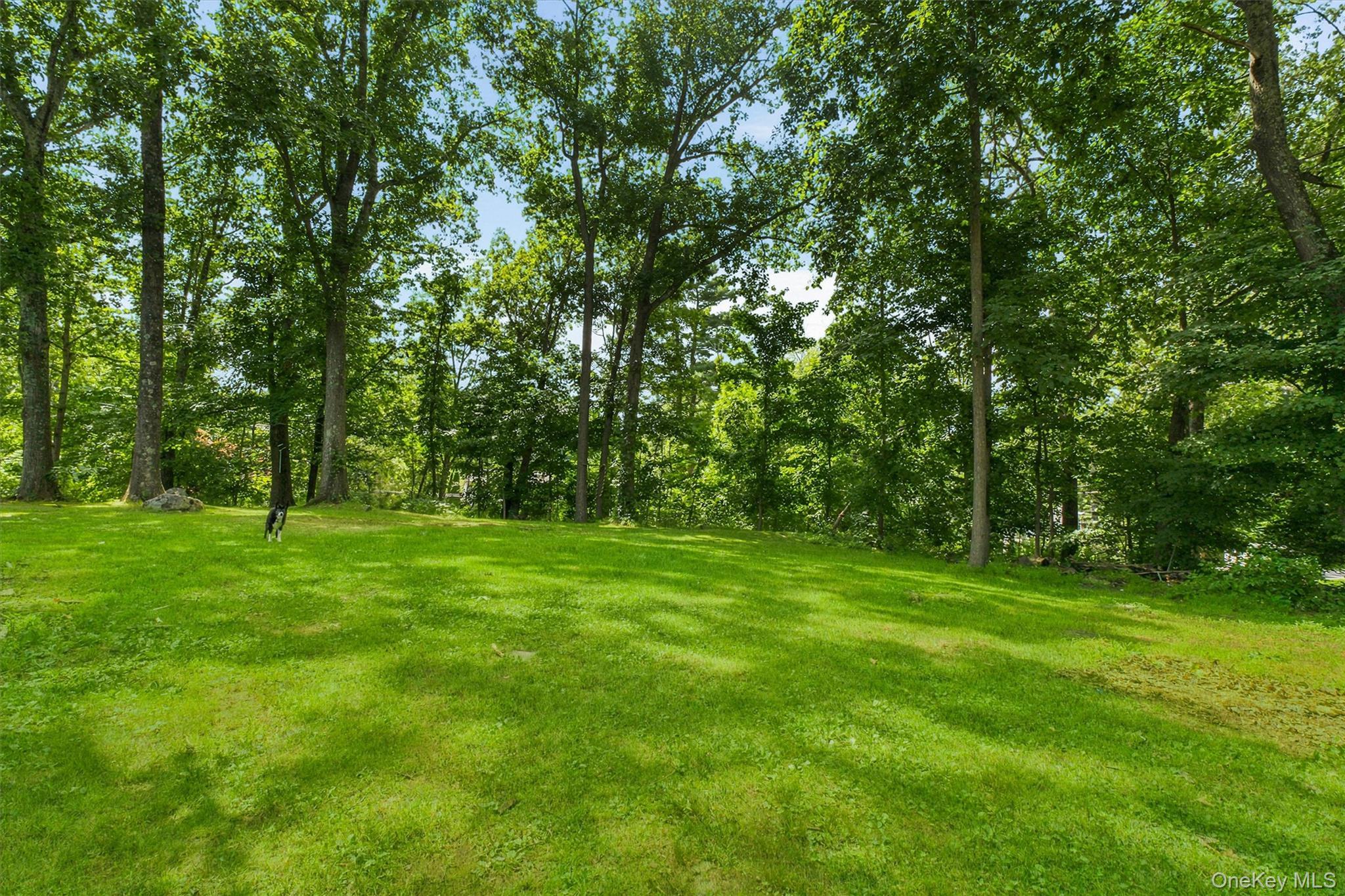 Single Family Mahopac Avenue Westchester County, NY 10501, MLS-1023284-24