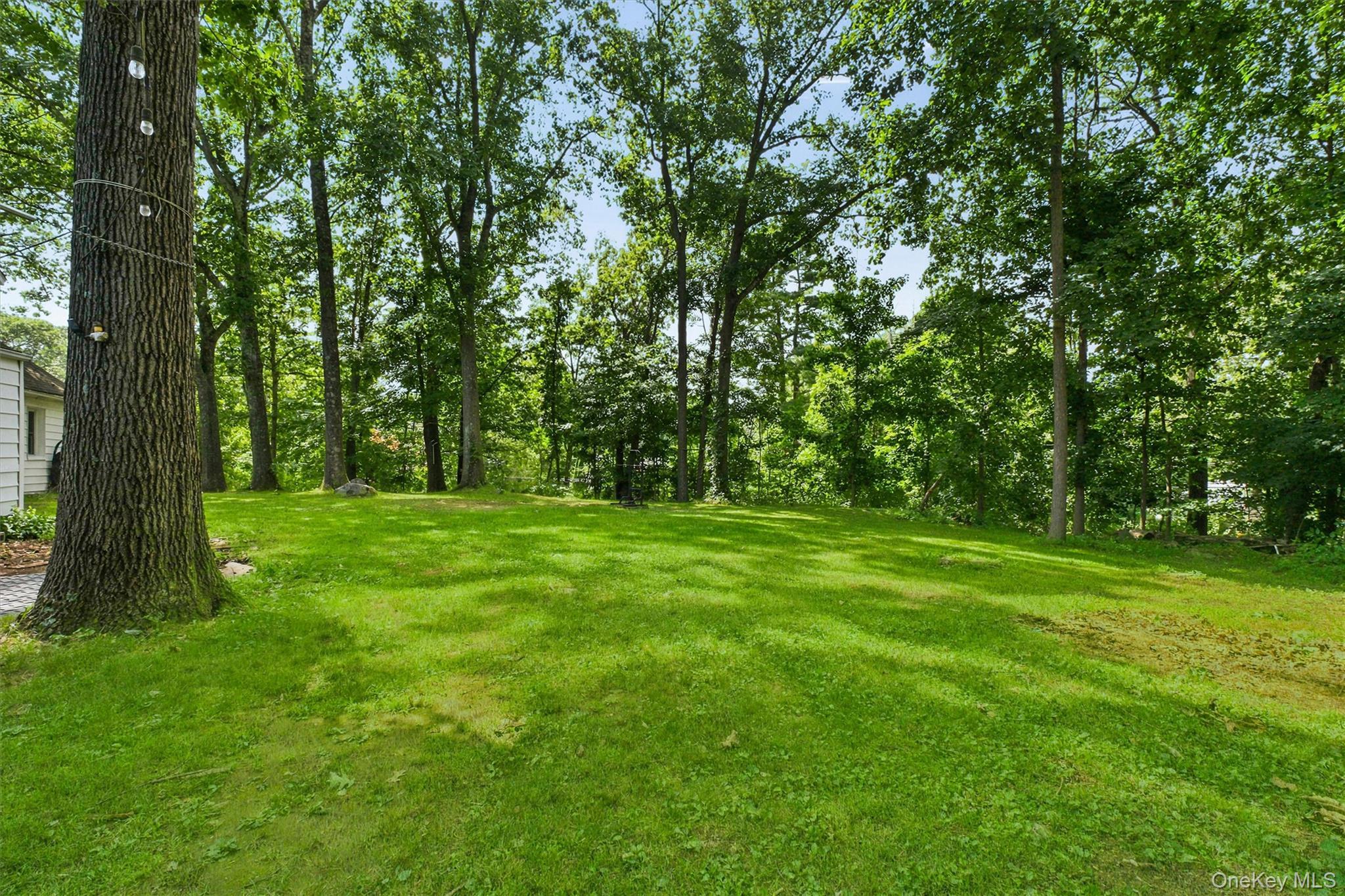 Single Family Mahopac Avenue  Westchester County, NY 10501, MLS-1023284-27