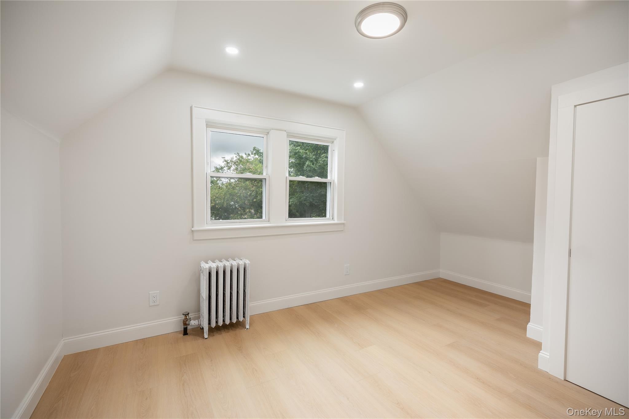 Single Family Cammerer Avenue Nassau County, NY 11518, MLS-1023374-12