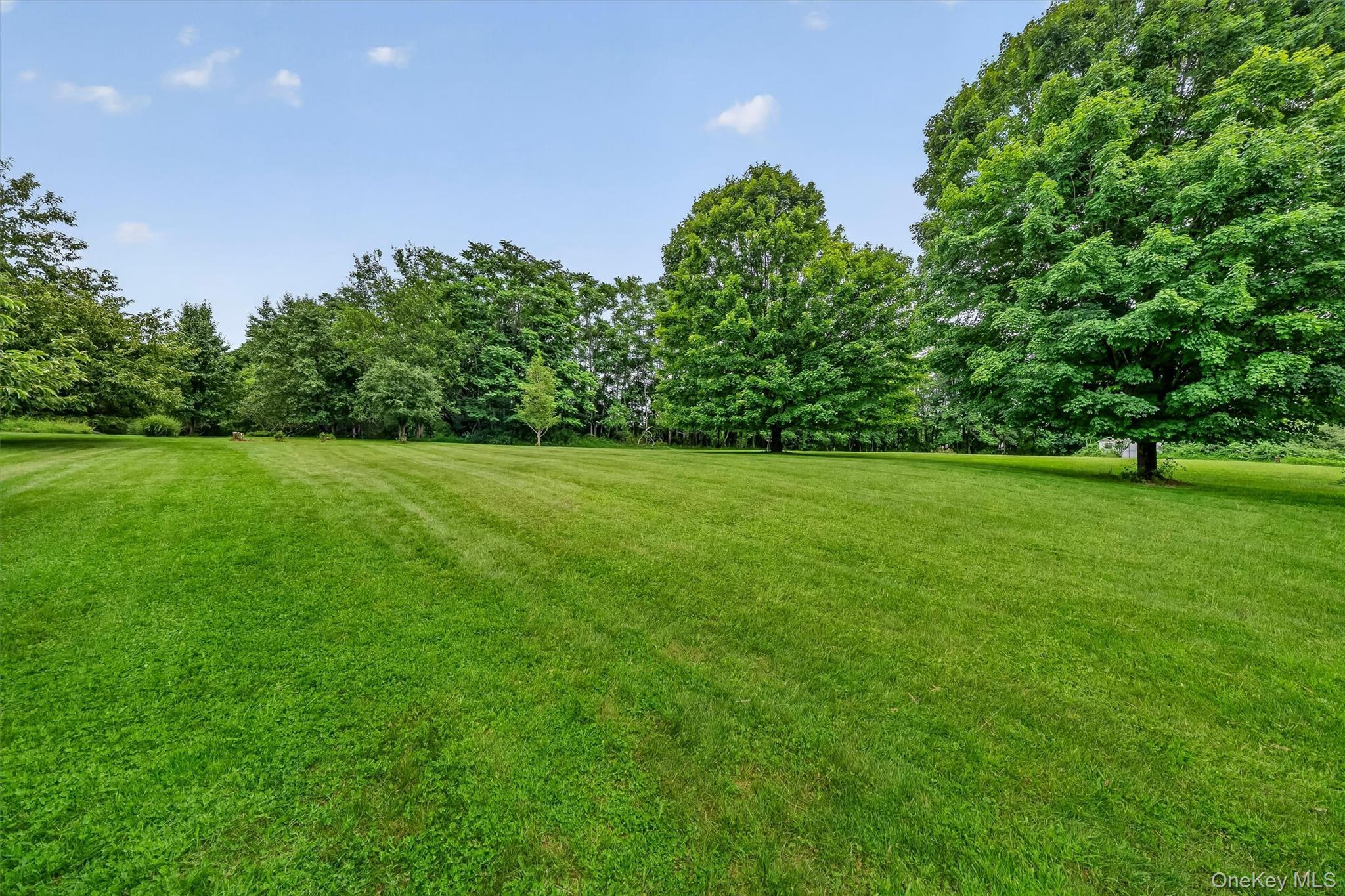 Single Family Station Road Orange County, NY 12577, MLS-1023446-42
