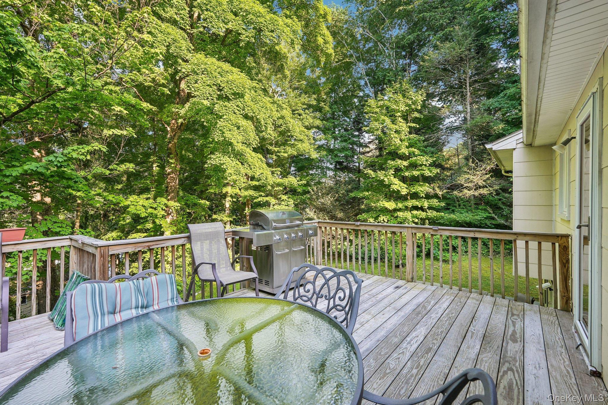 Single Family Nursery Road  Orange County, NY 10987, MLS-1023454-42